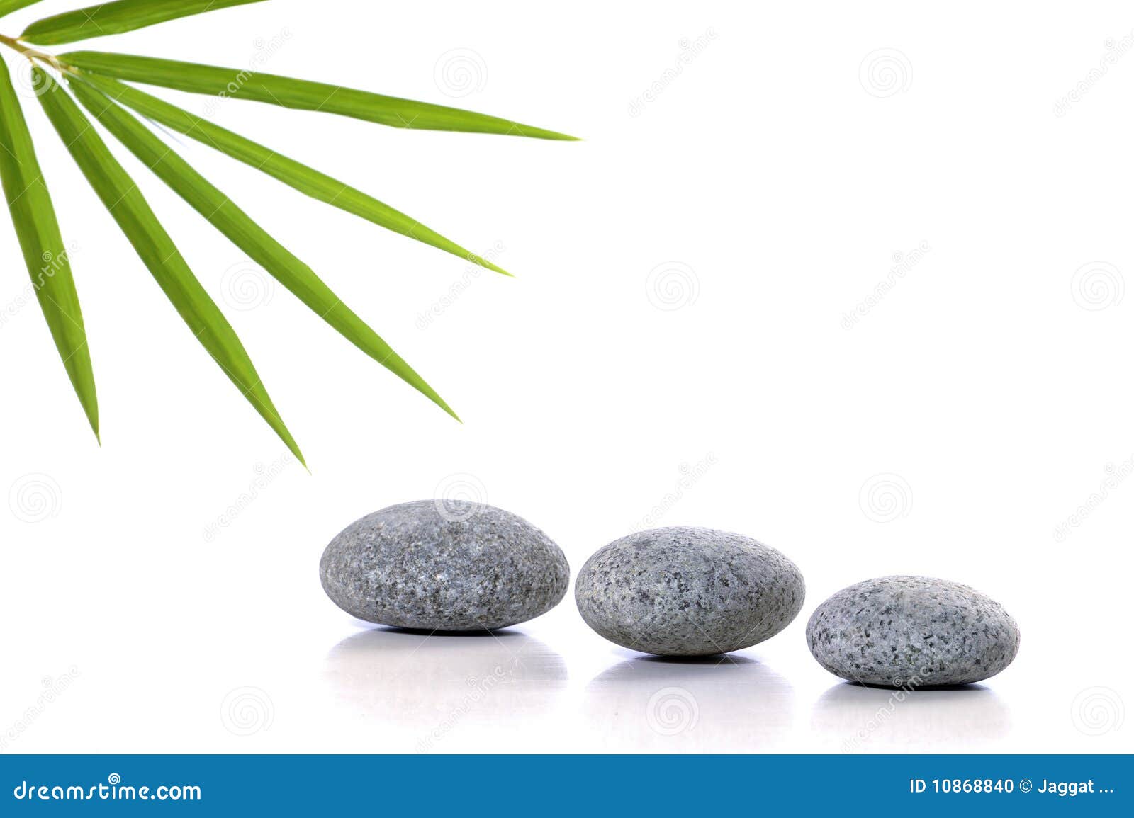 Stones and bamboo leafs stock photo. Image of leaf, clean 10868840