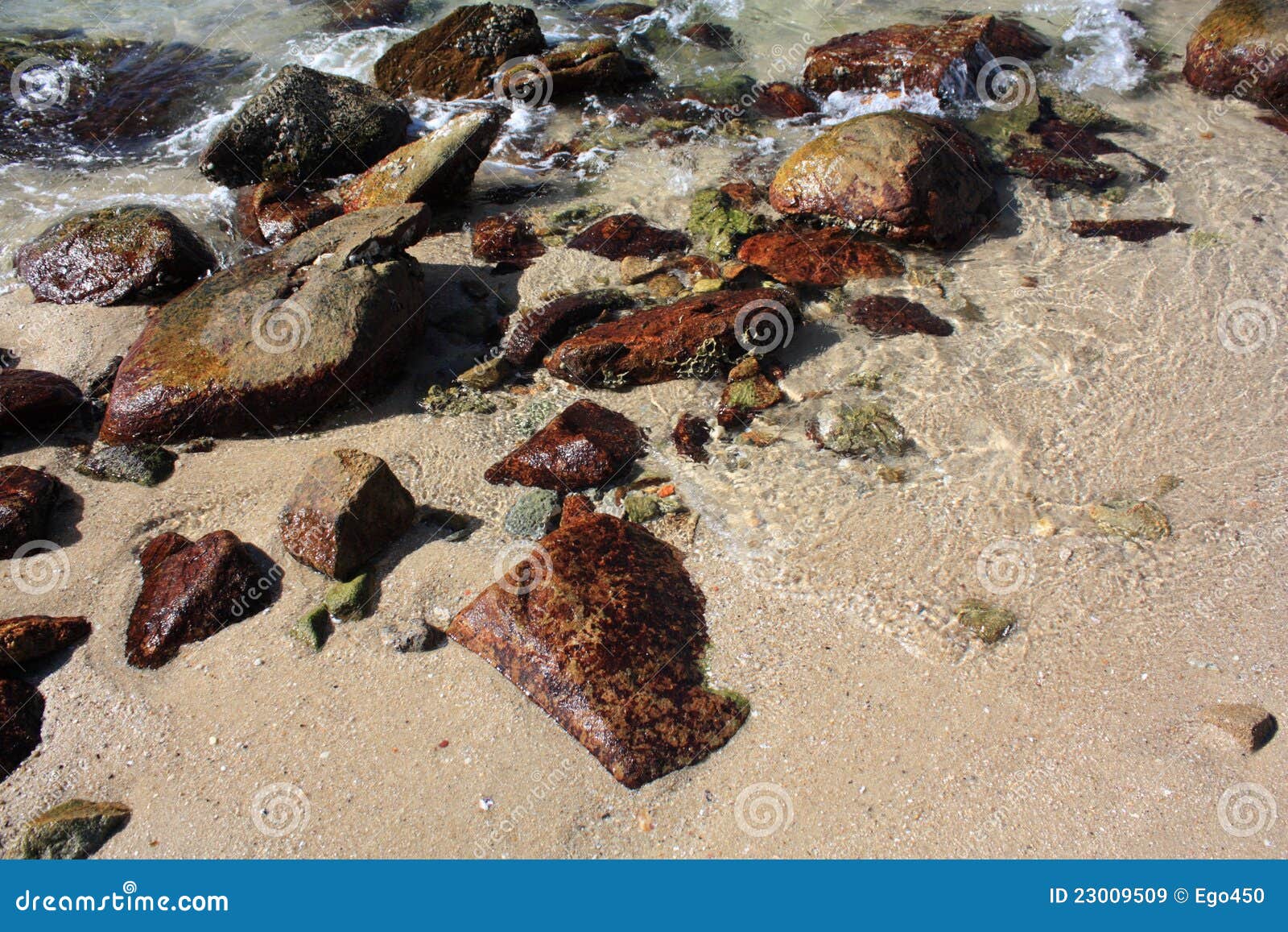 Stones on the beach stock image. Image of coastline, green 23009509