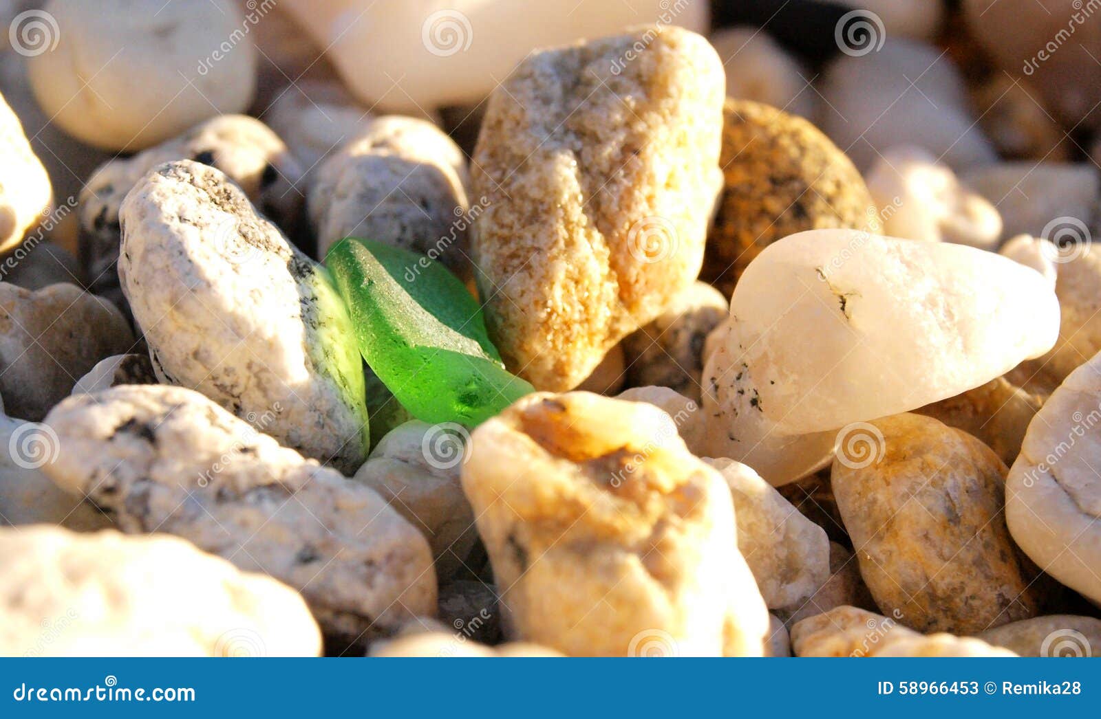 Stones on the beach stock image. Image of green, colours 58966453