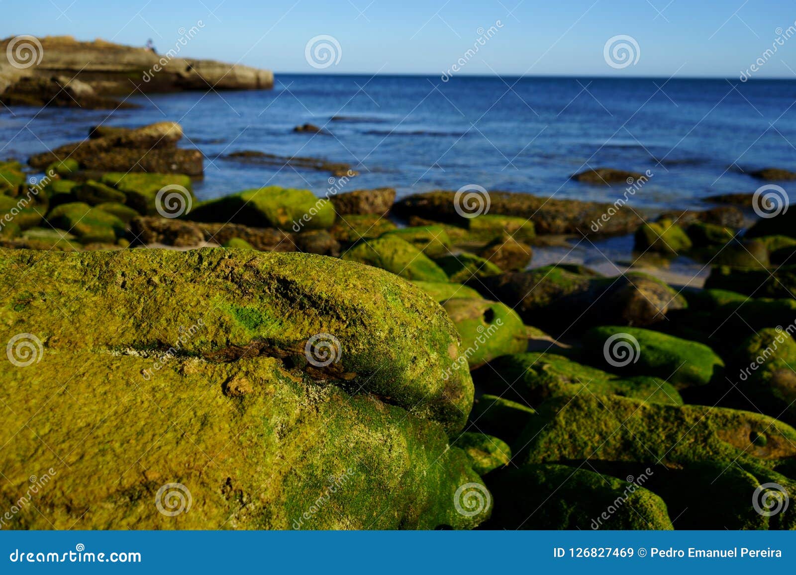 Stones on the Beach Inside Water Stock Image Image of stones, cleared