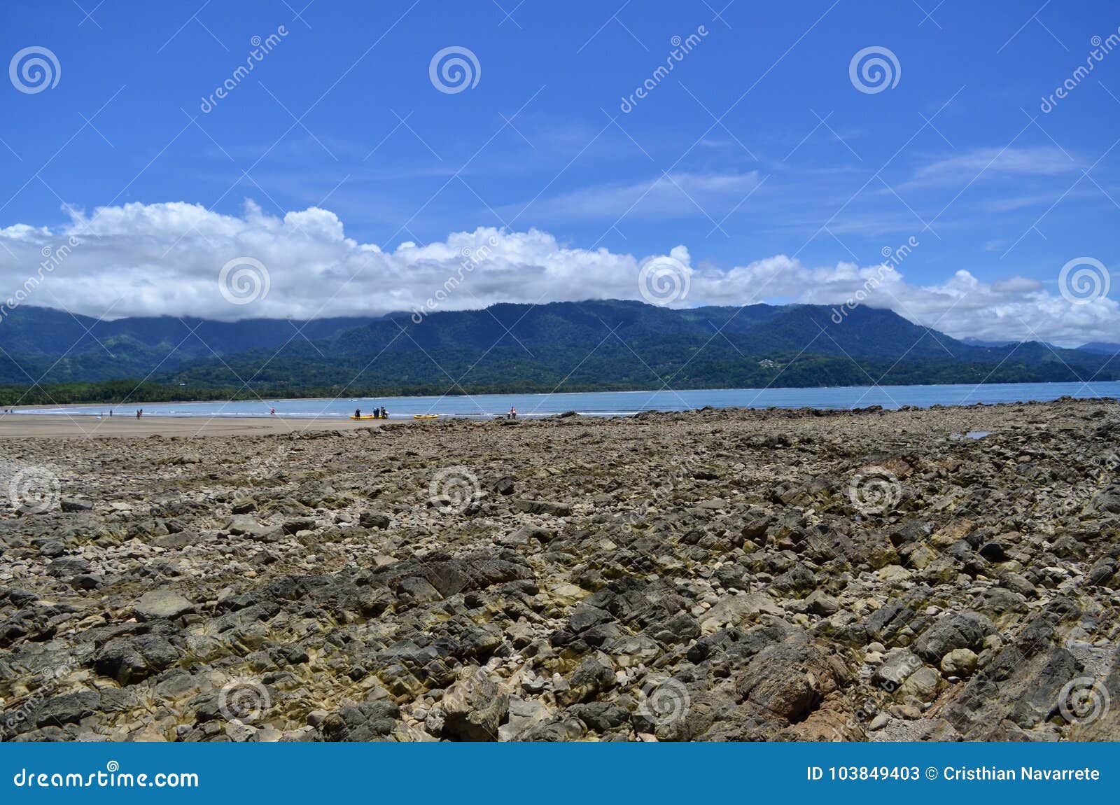 stones in the beach