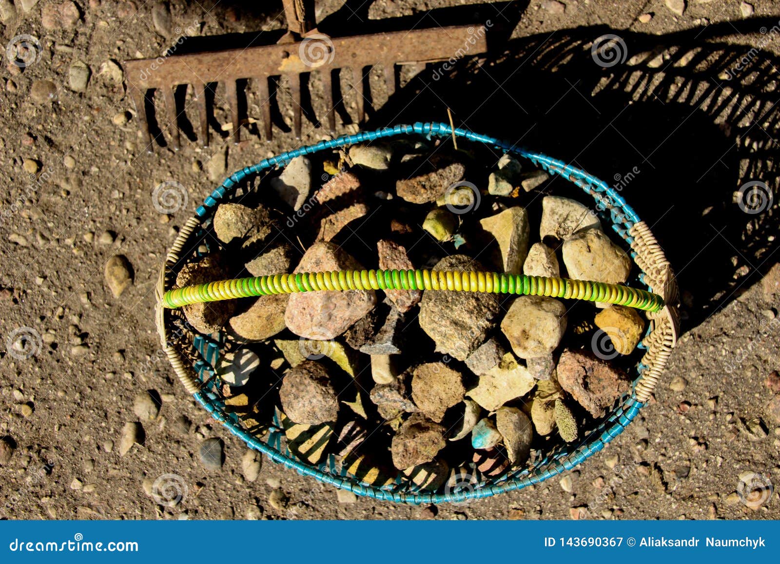 Stones Collected in the Basket. Rake Stock Image Image of nature
