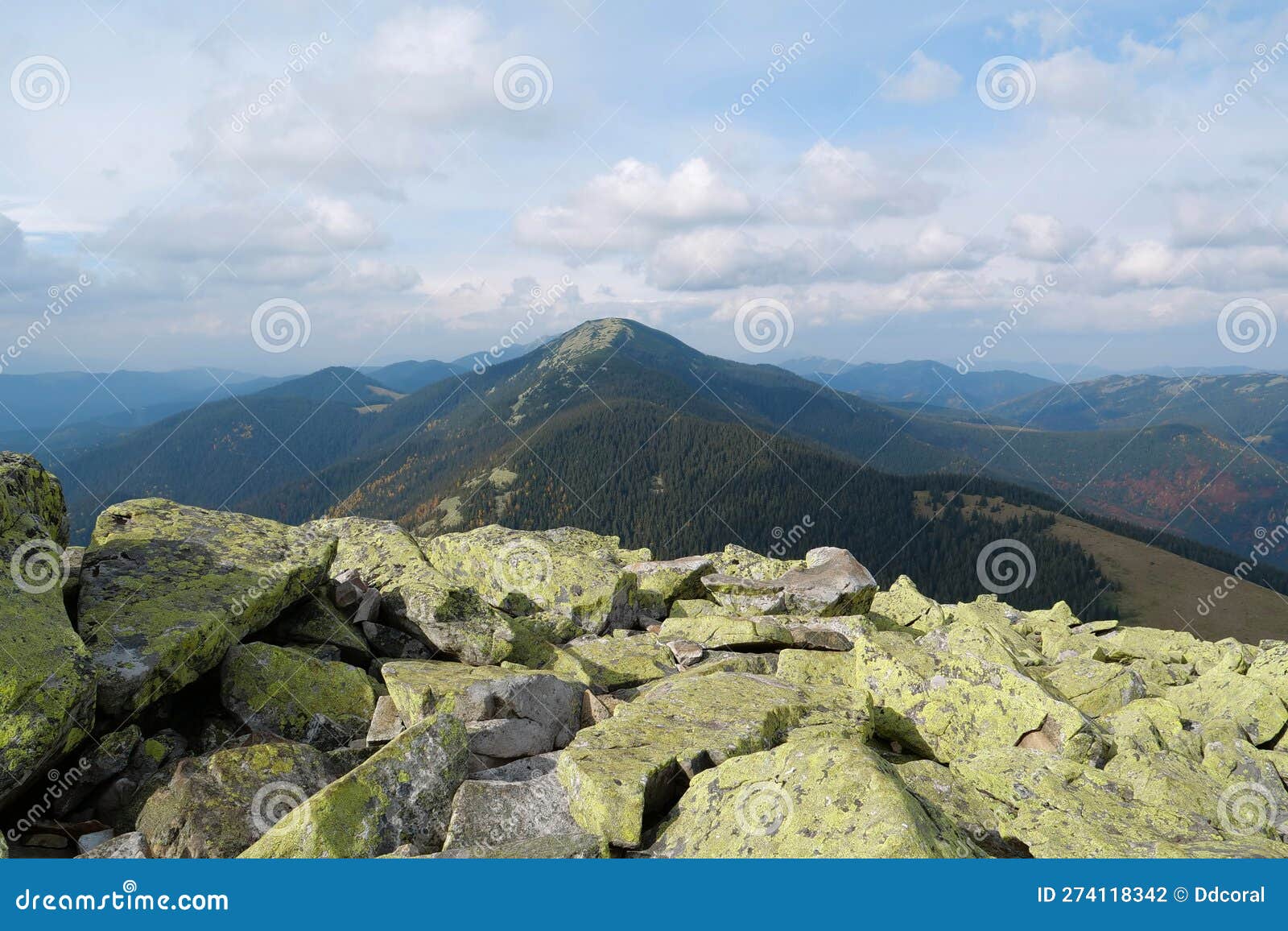 stones covered with lichen in gorgany - mountain range in western ukraine