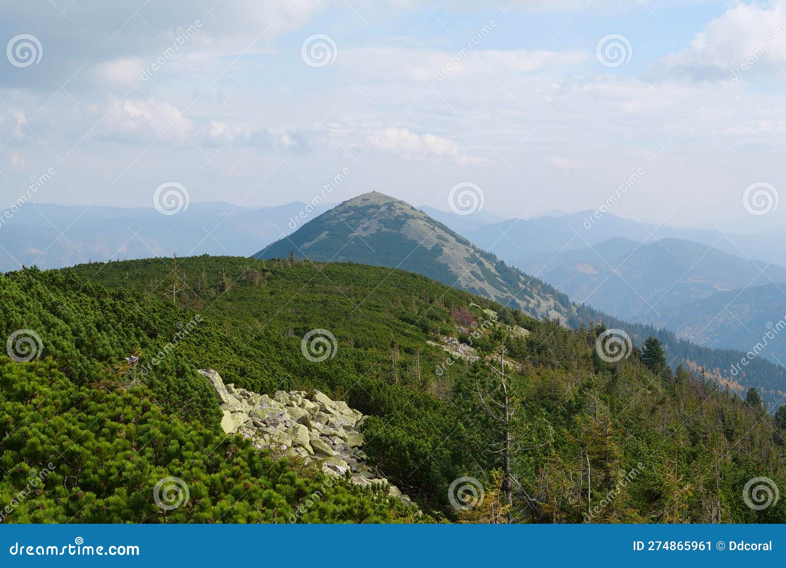 stones covered with lichen in gorgany - mountain range in western ukraine