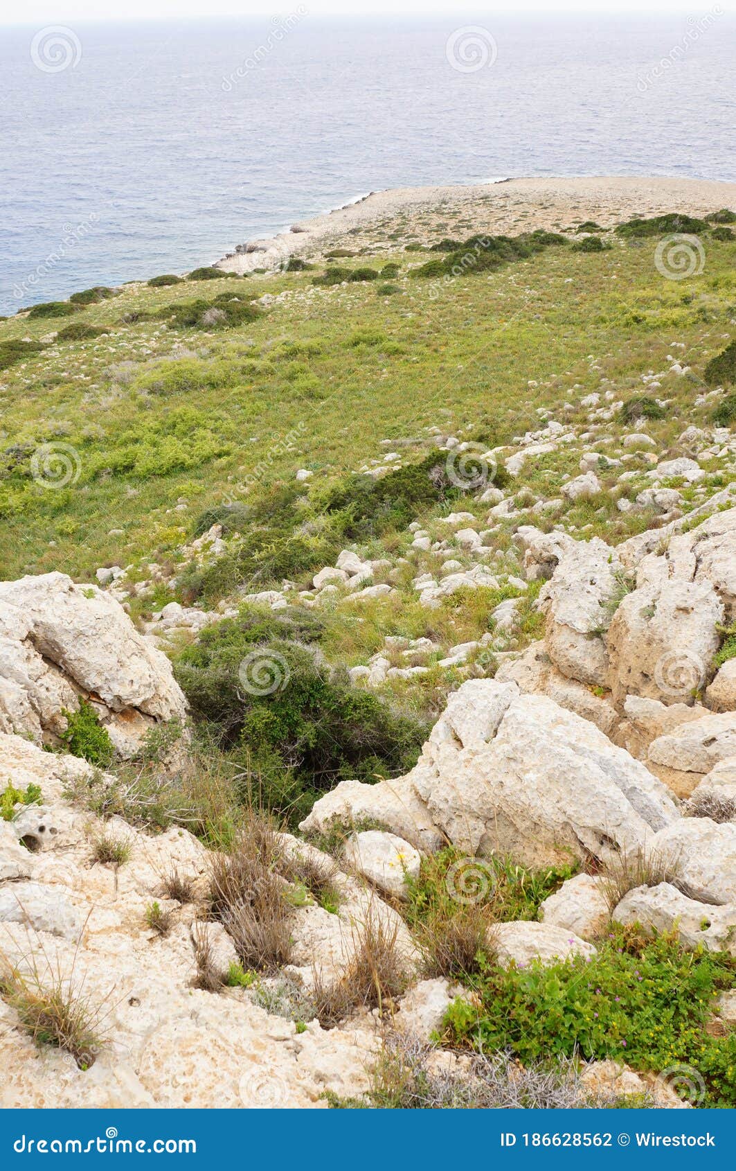 Stones and Hills in the Shore in Cyprus Stock Photo Image of summer