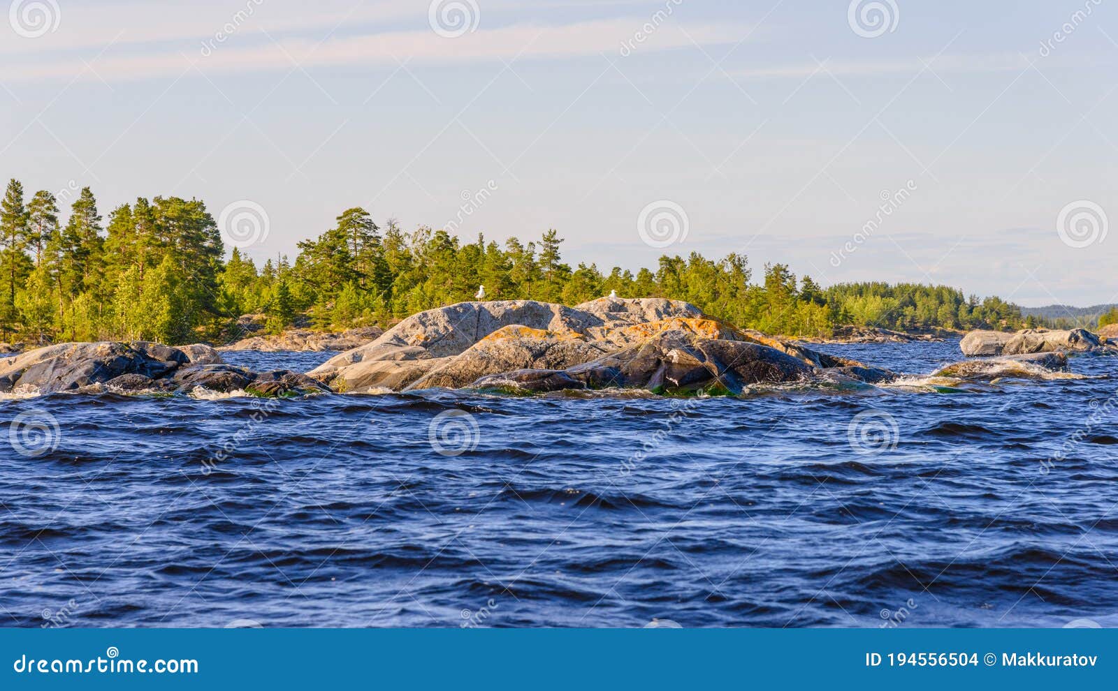 on the stones that protrude from the water, seagulls nest.