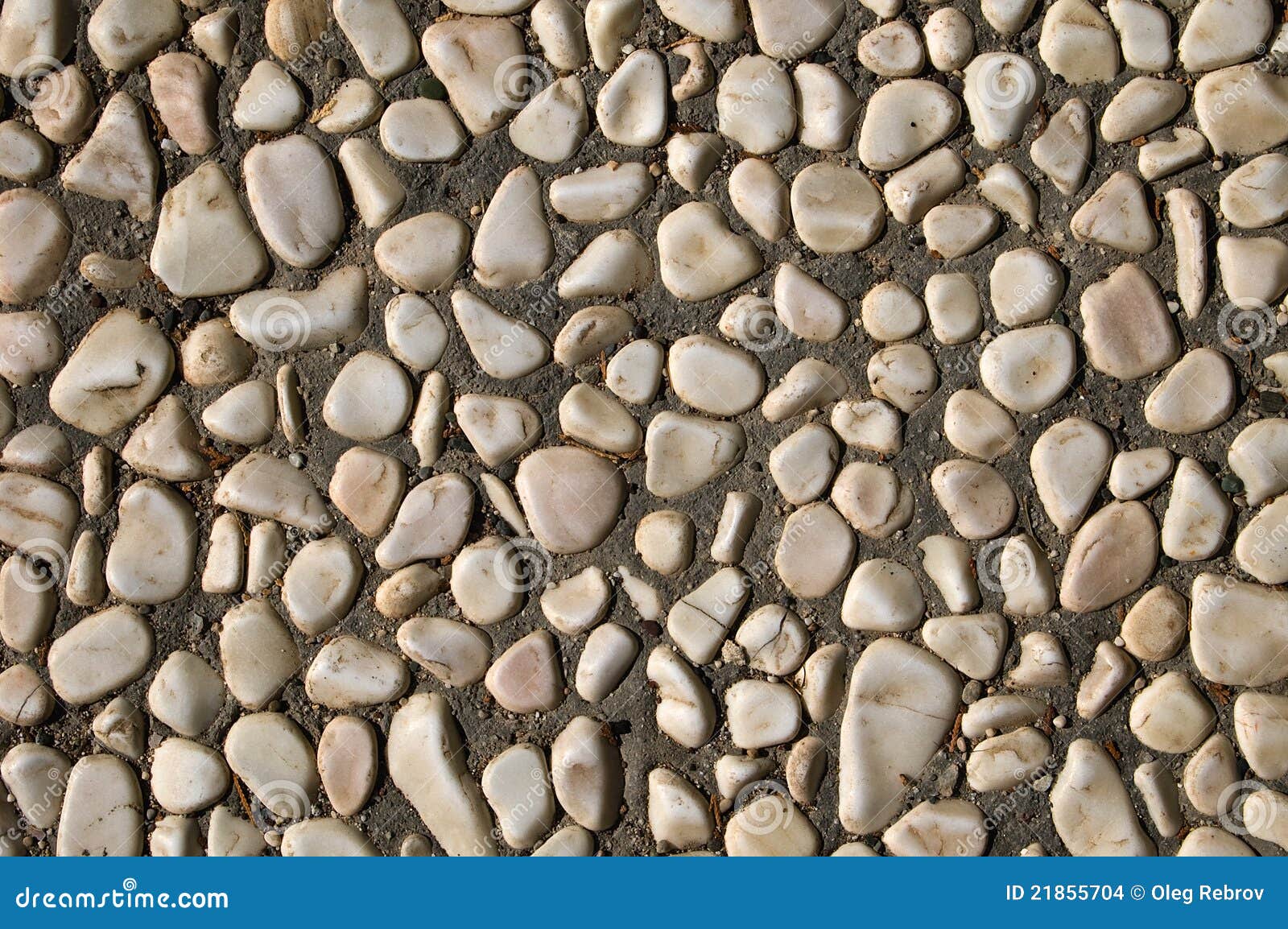 Stones set in cement stock photo. Image of pebbles, concrete - 21855704