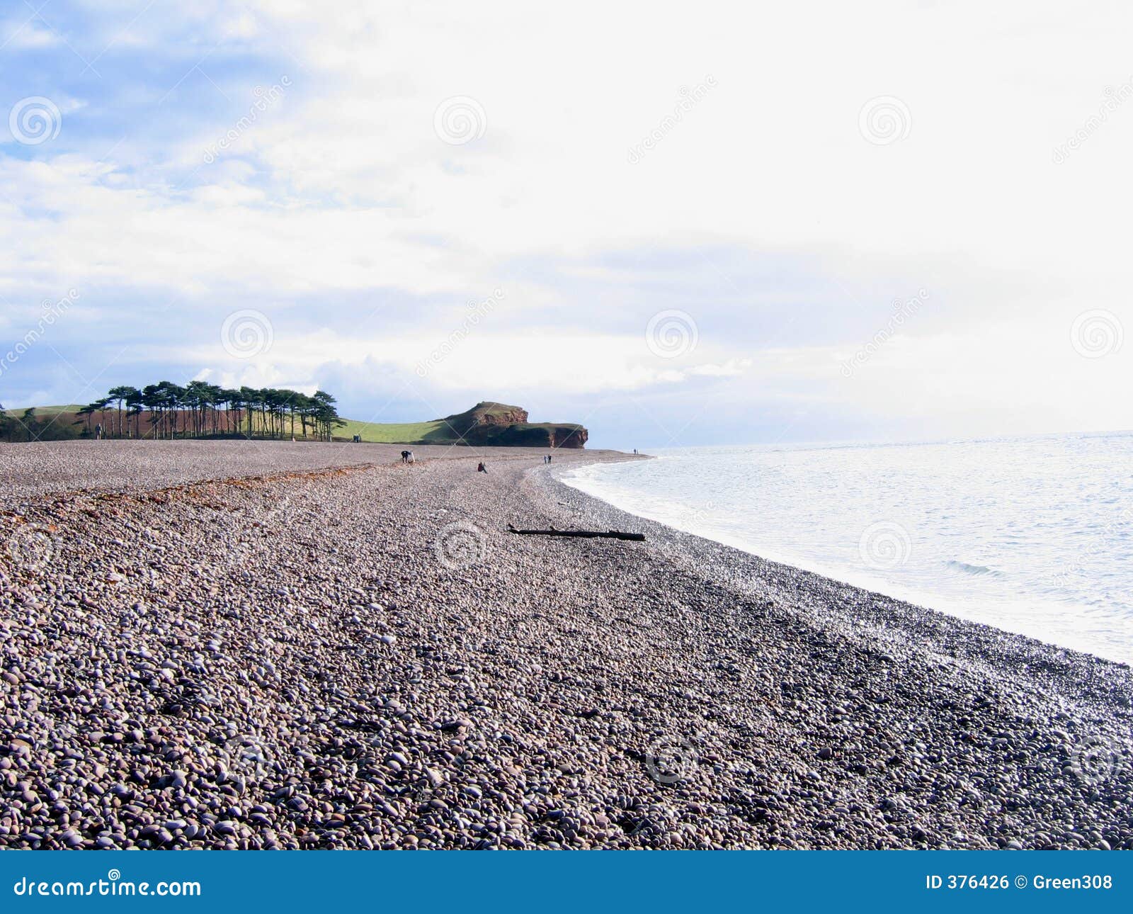 Stoney Beach stock photo. Image of trees, grass, green 376426