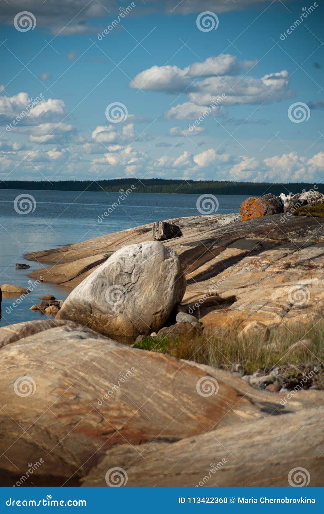 stony litoral