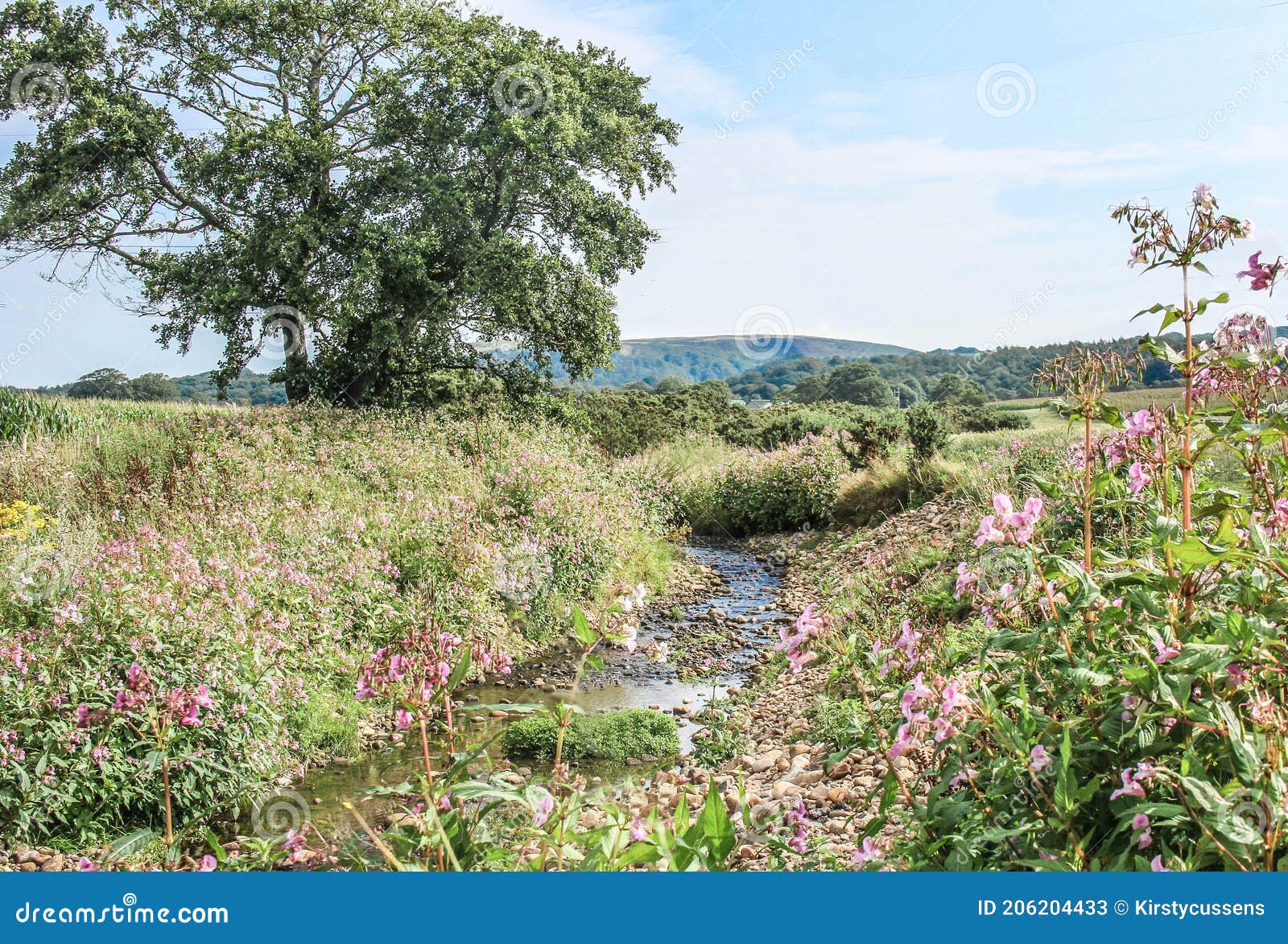 stony stream in the english countryside on a sunny day