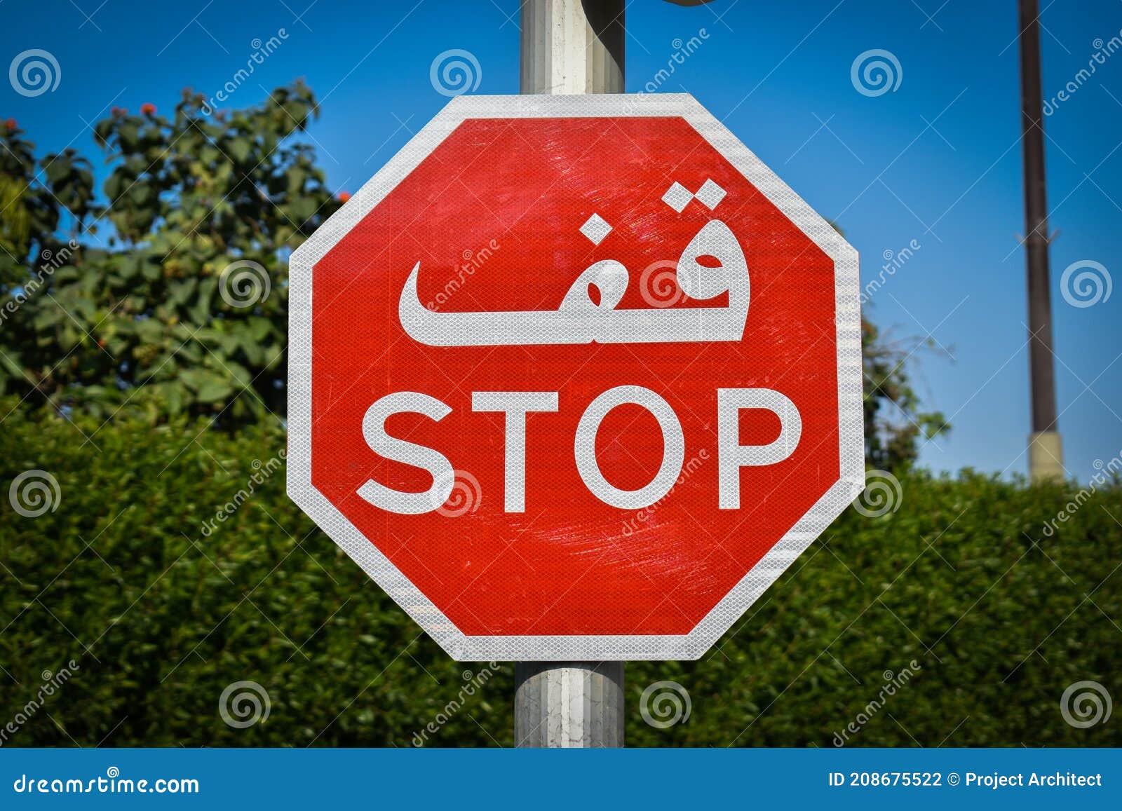 Stop Sign with Greenery Behind Stock Photo Image of stop, outdoor
