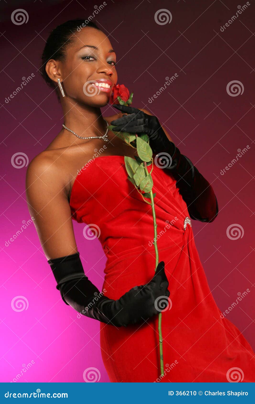stop-and-smell-the-rose-stock-photo-image-of-charming-366210
