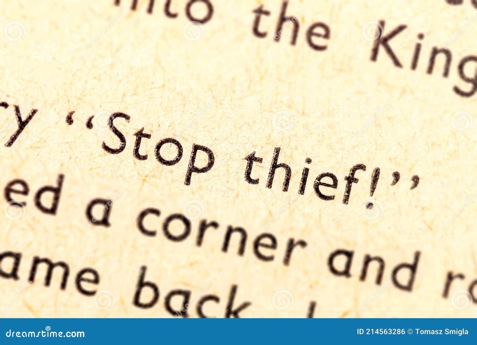 stop thief! single text line focus, words in an old book dramatic macro extreme closeup literature thievery, burglary, robbery
