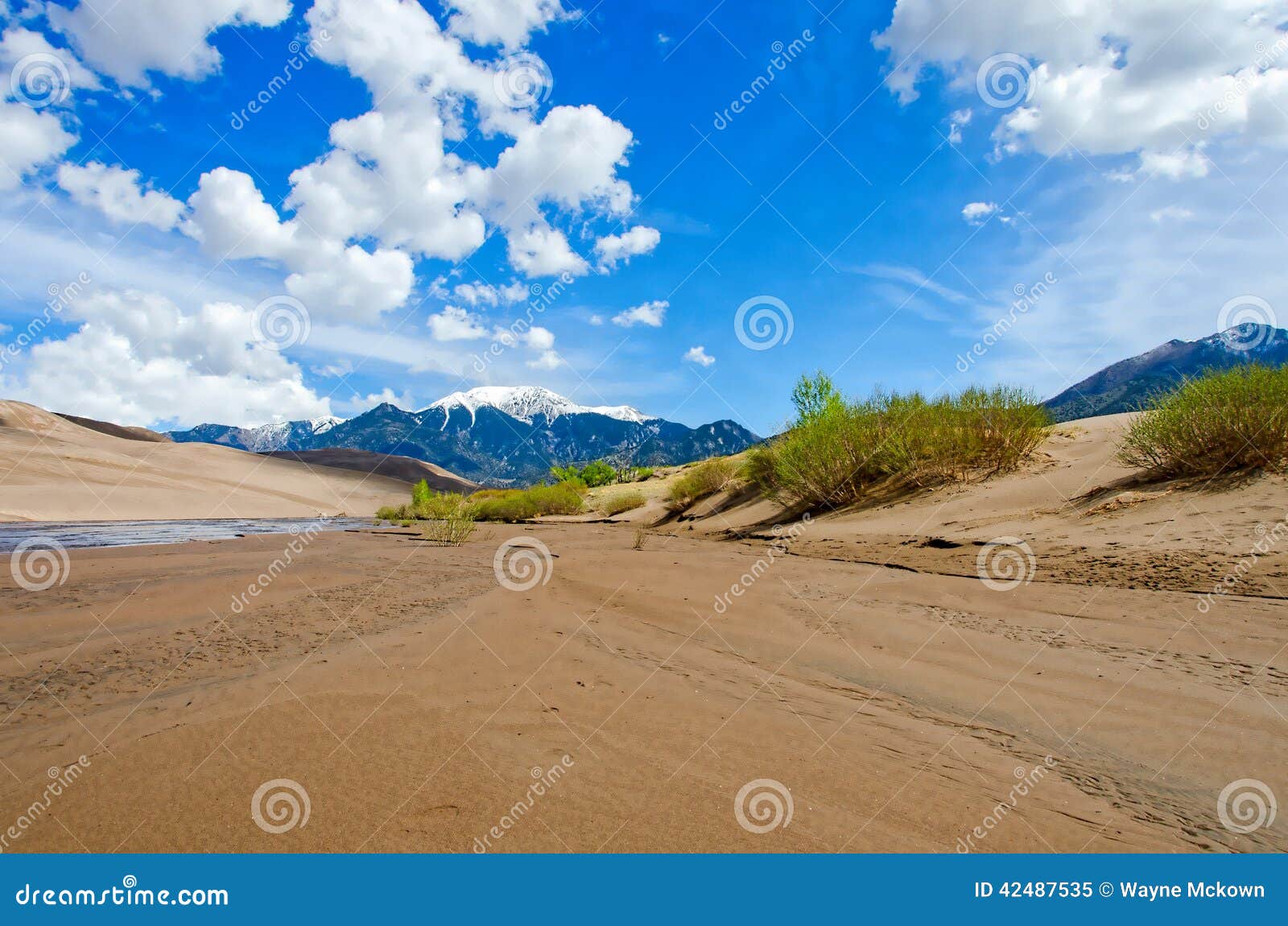 Stor sand för dyner. Flodsäng på de stora sanddyerna med Colorado Rocky Mountains i bakgrunden