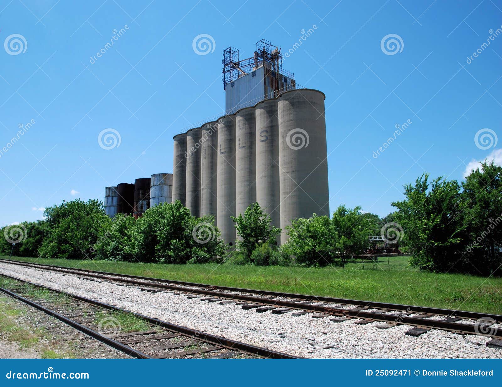 Grapevine Stock Photo 66977172