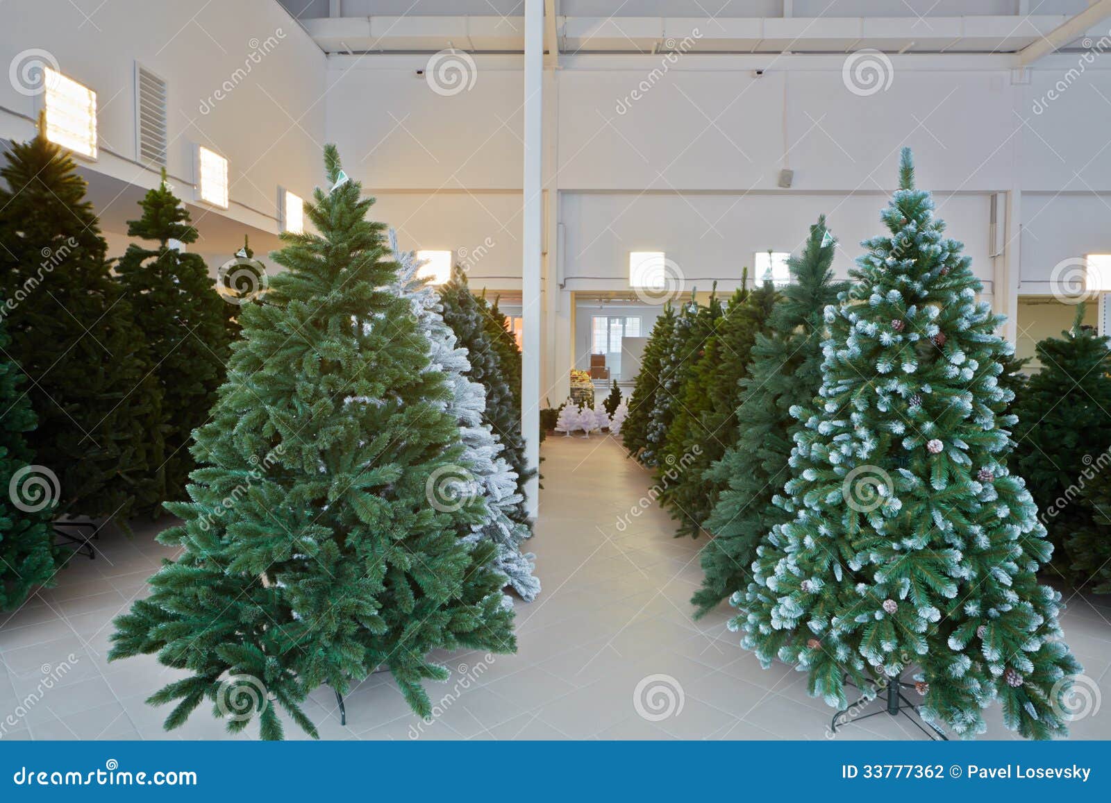 Storage Room with Artificial Christmas Trees Stock Photo Image of