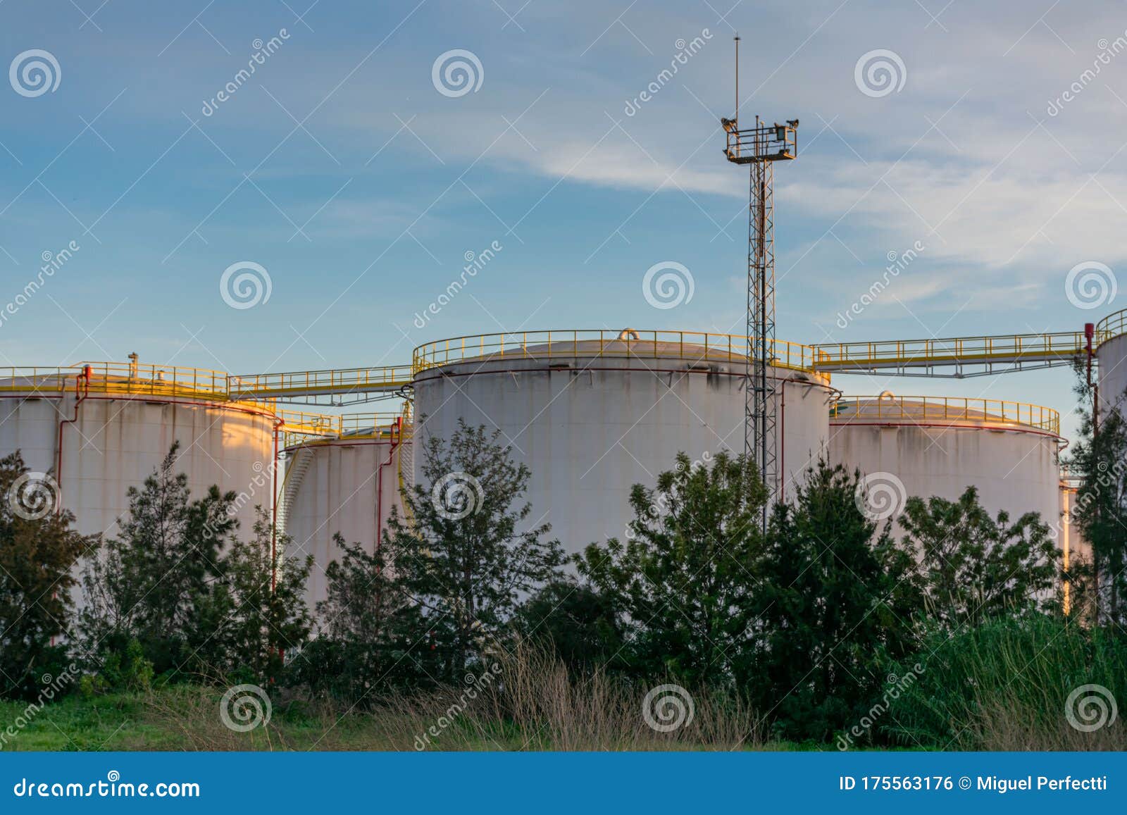 Storage Tanks and Fuel Reserves Stock Photo Image of power