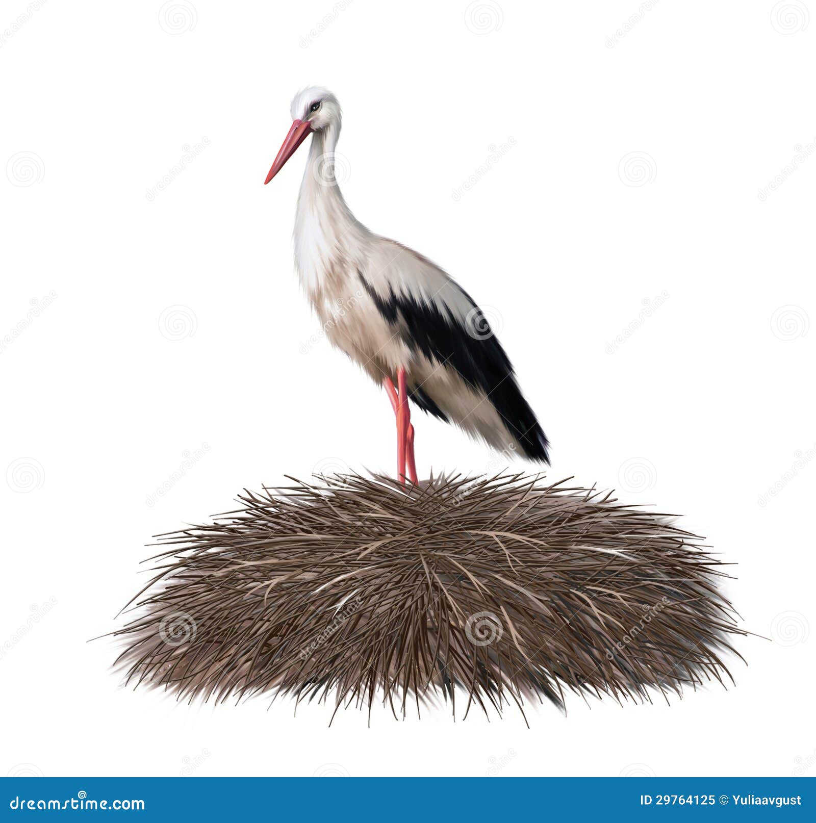 Storch in Seinem Nest. Frühling Stockbild - Bild von nest, schwarzes:  29764125