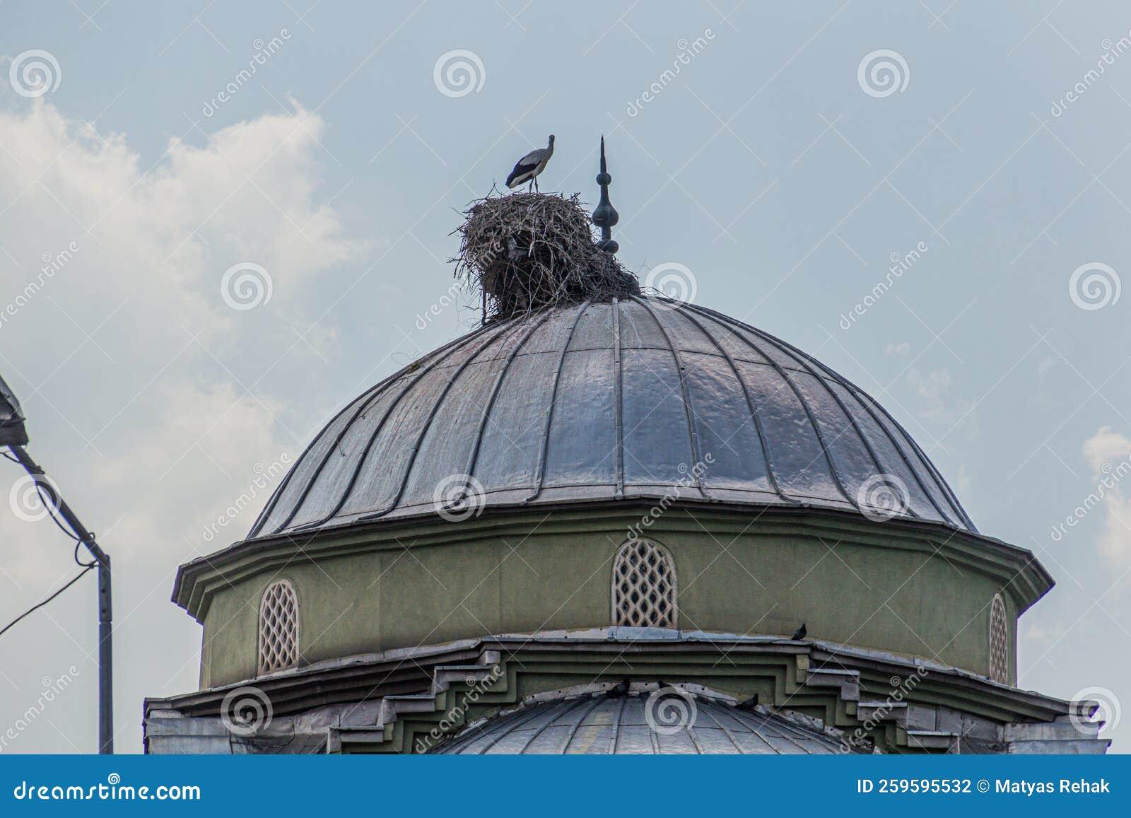 stork nest on haci hacer cami mosque in igdir, turk