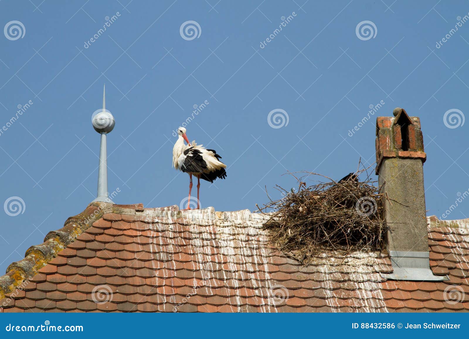 stork on a roof at the ecomusee in alsace