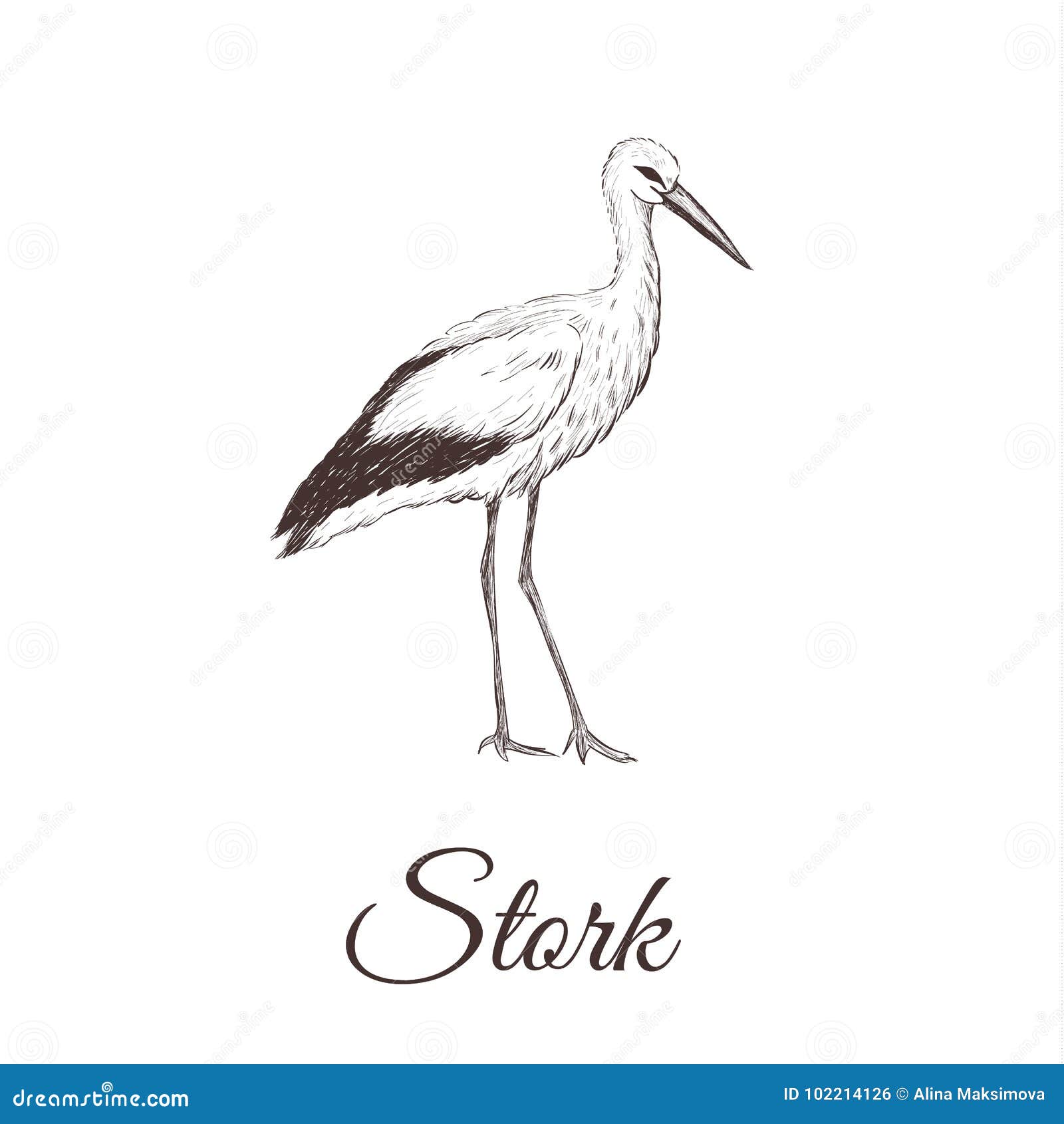 Cute Stork Coloring Page For Kids Outline Sketch Drawing Vector, Stork  Drawing, Stork Outline, Stork Sketch PNG and Vector with Transparent  Background for Free Download