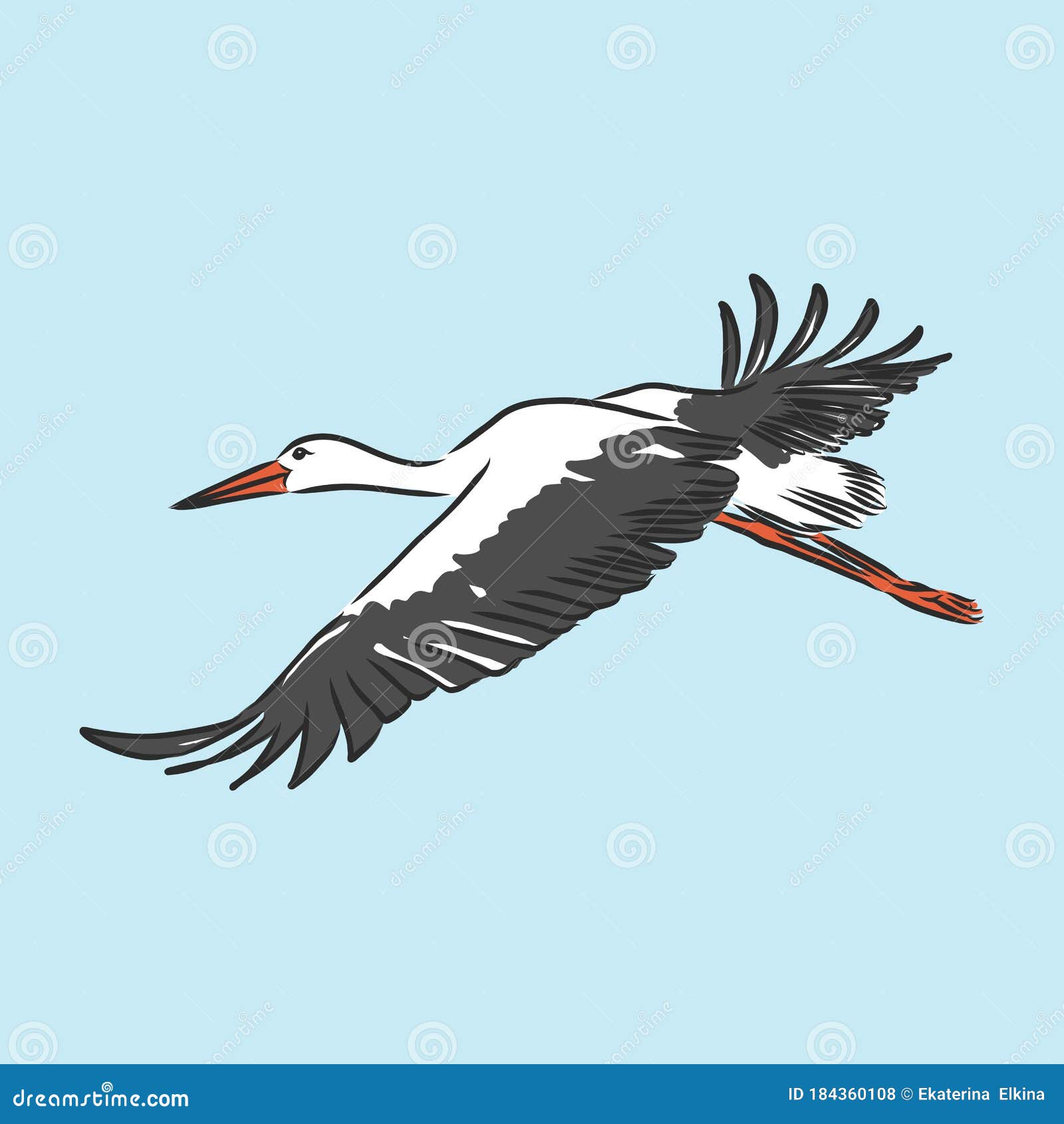 Learn How to Draw a Wood Stork (Birds) Step by Step : Drawing Tutorials