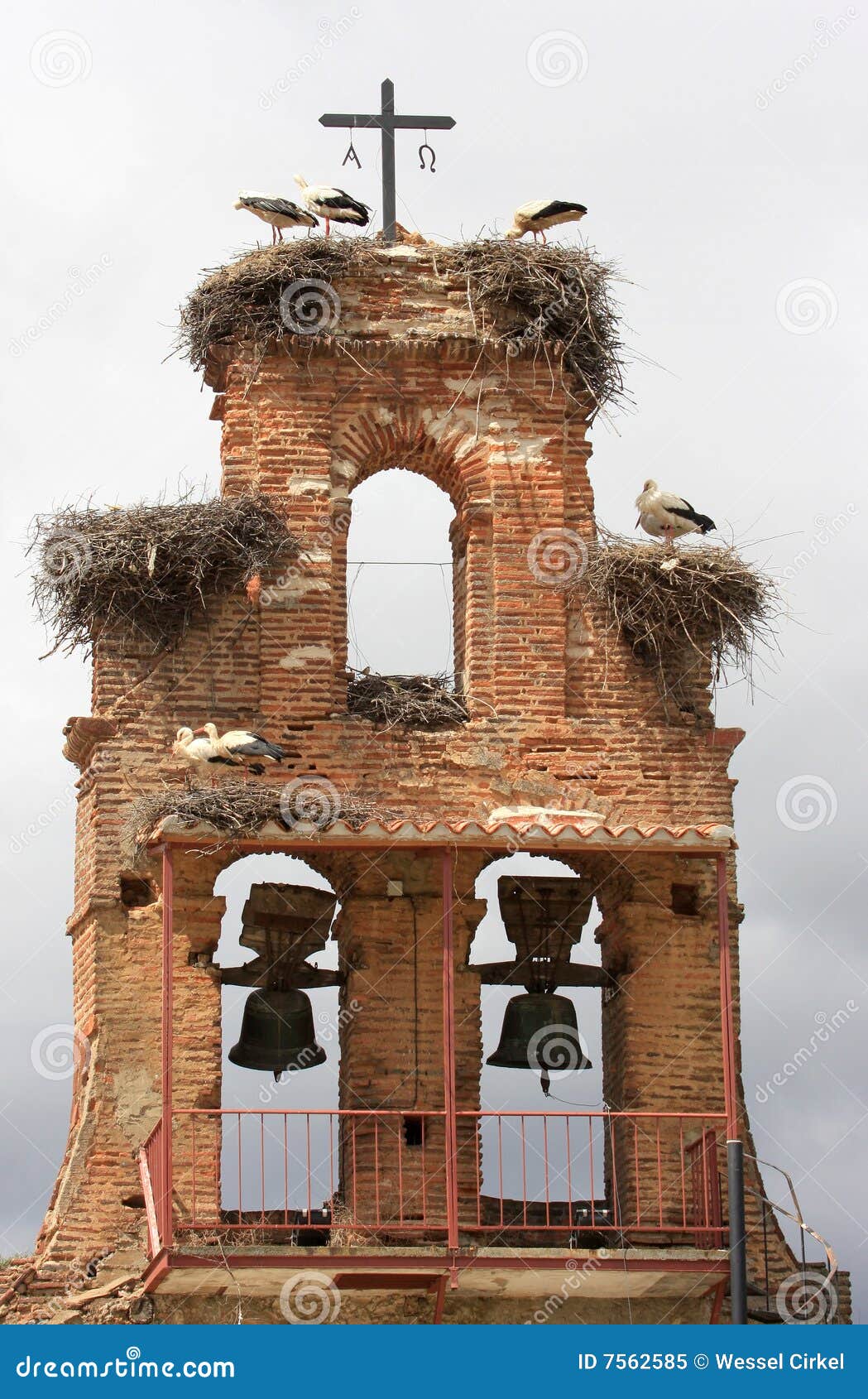storks upon nest upon a spanish belfry