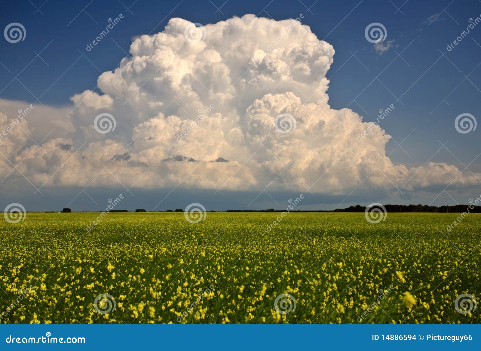 storm clouds over saskatchewan