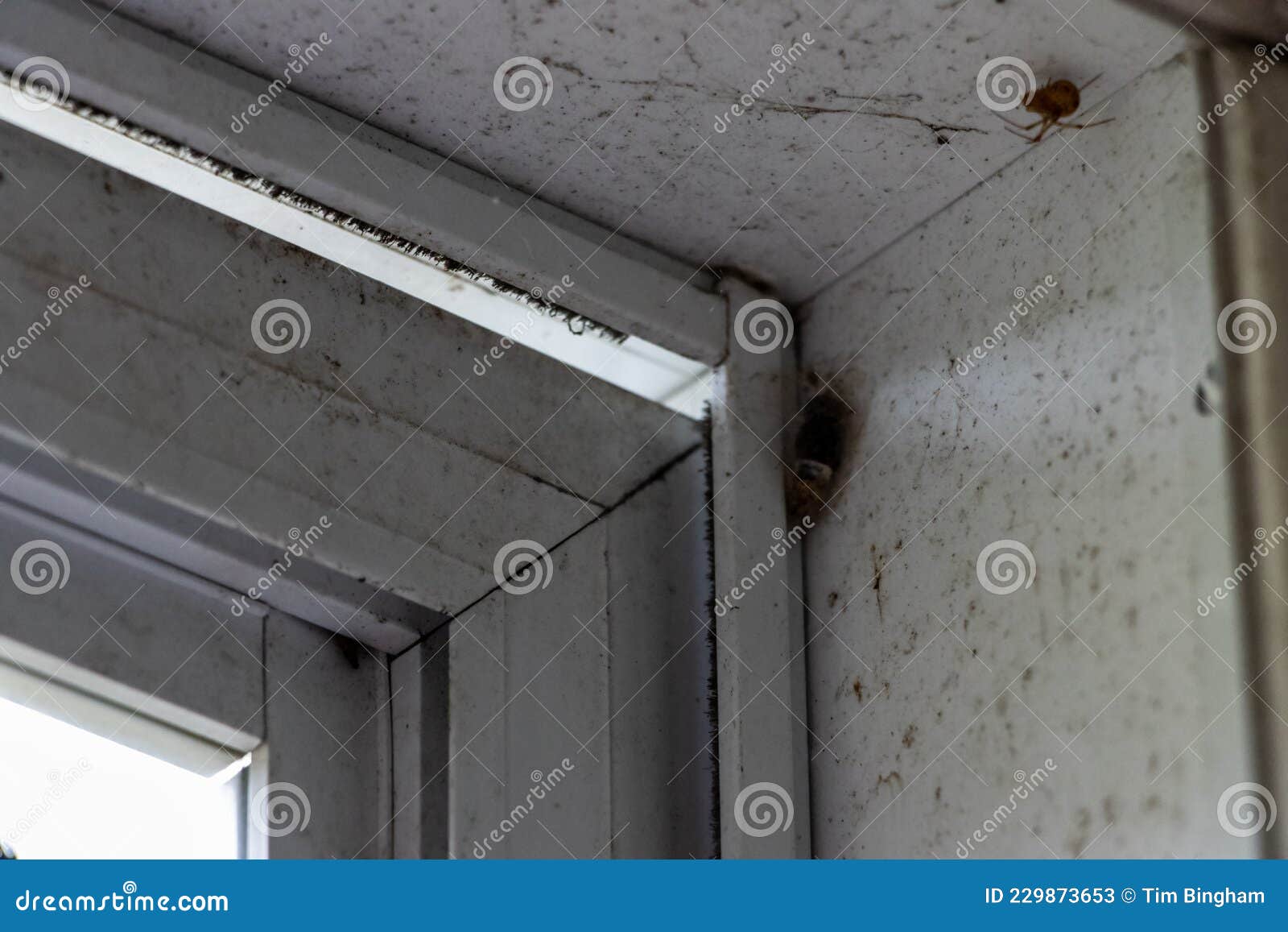 Storm Door Installed Wrong with Gap Stock Image Image of improperly