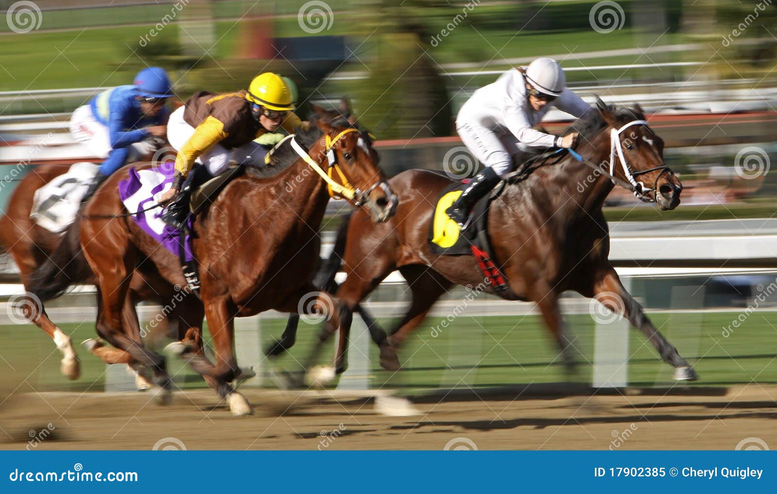 Storming Down the Homestretch. ARCADIA, CA - JAN 15: Female jockeys Joy Scott (white cap) and Nicole Shinton (gold cap) battle for the lead in a claiming race at Santa Anita Park on Jan 15, 2011 in Arcadia, CA.