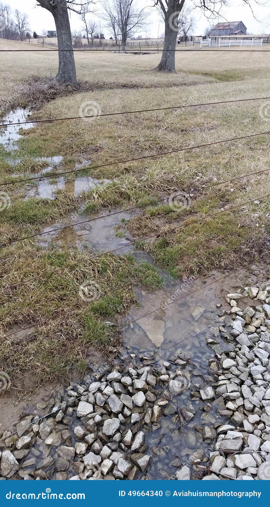 stormwater runoff: creek in the country