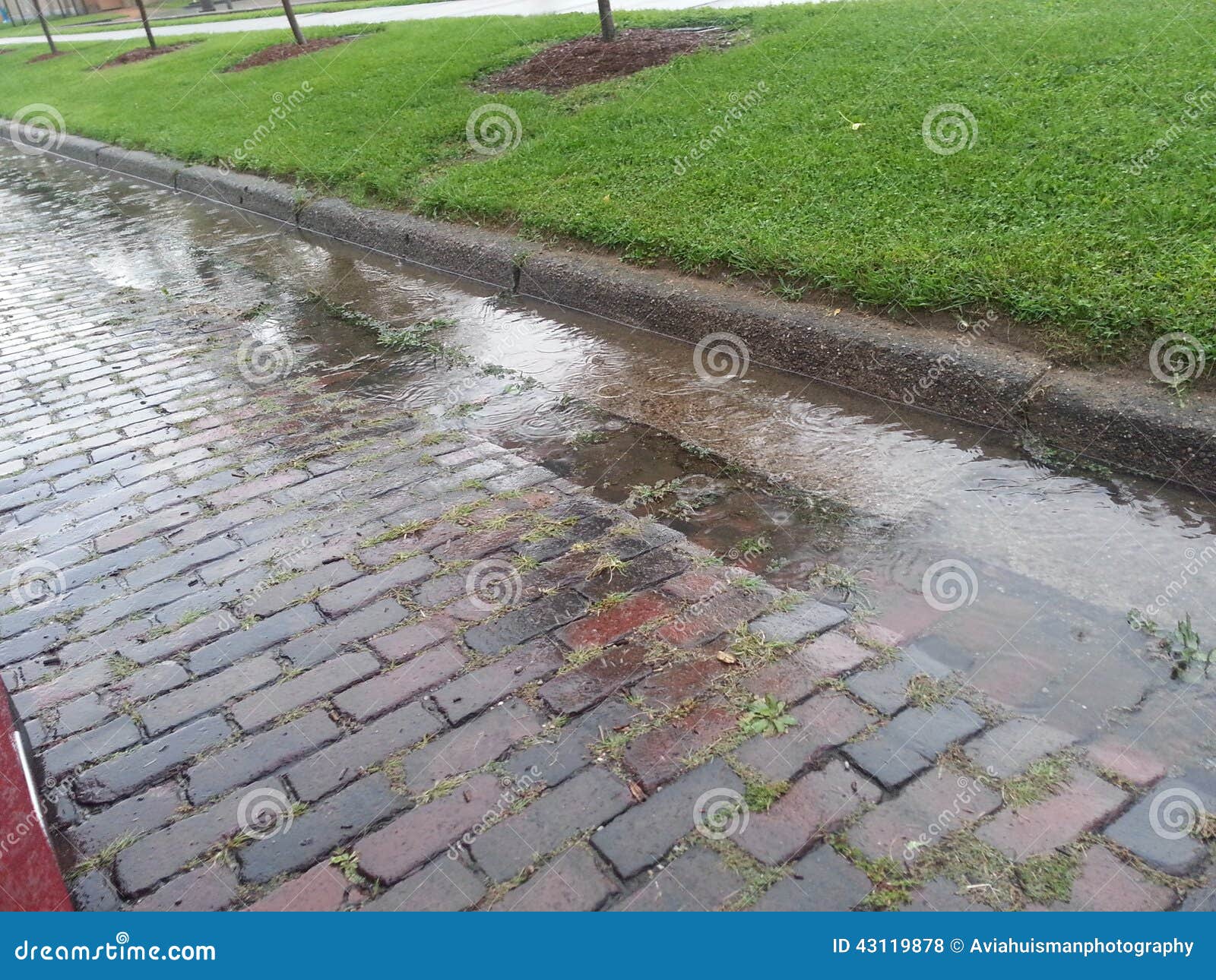 Stormwater In Stormdrain By Brick Road Stock Photo Image 43119878