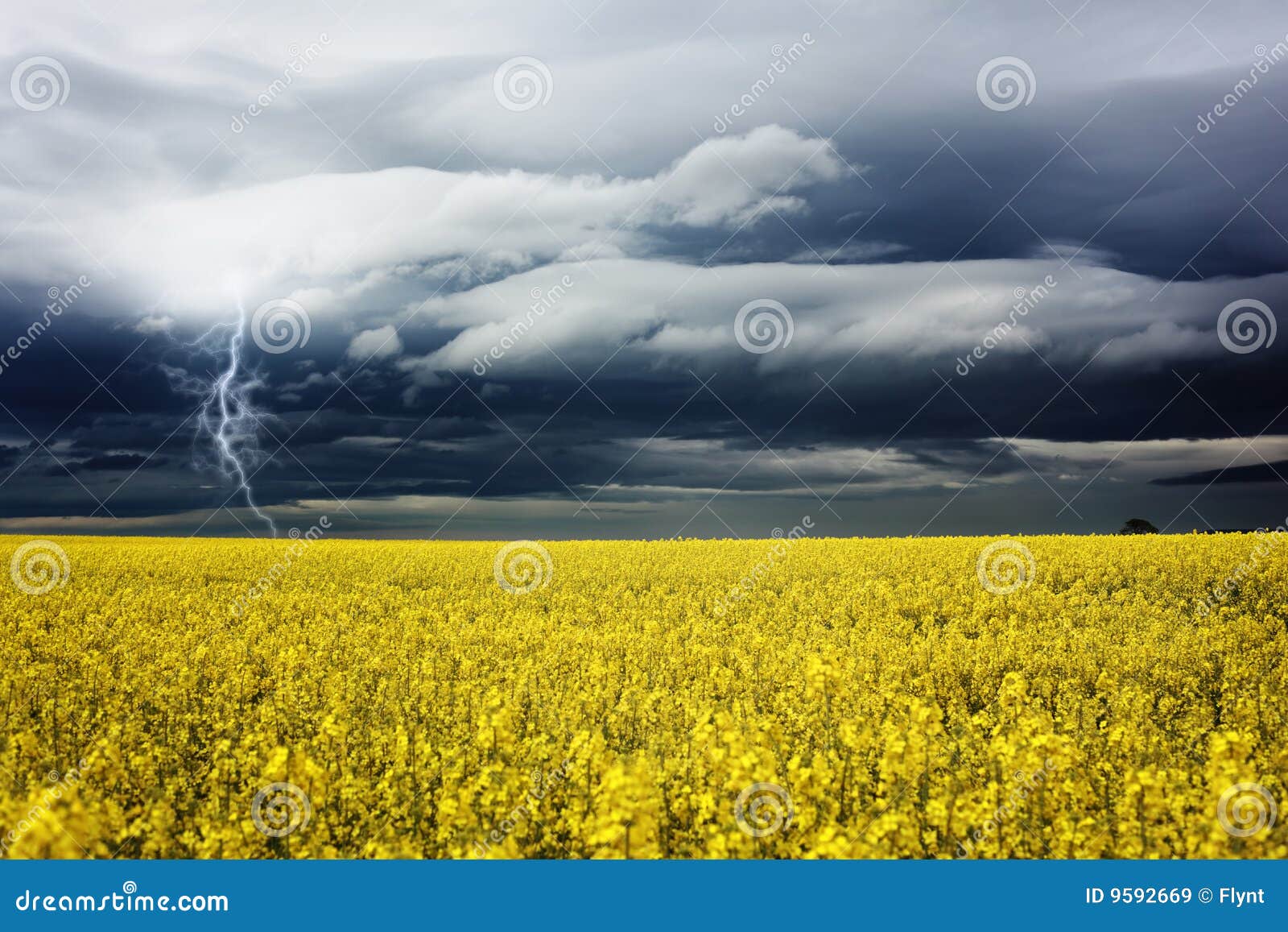 Stormy day stock image. Image of canola, blue, landscape 9592669