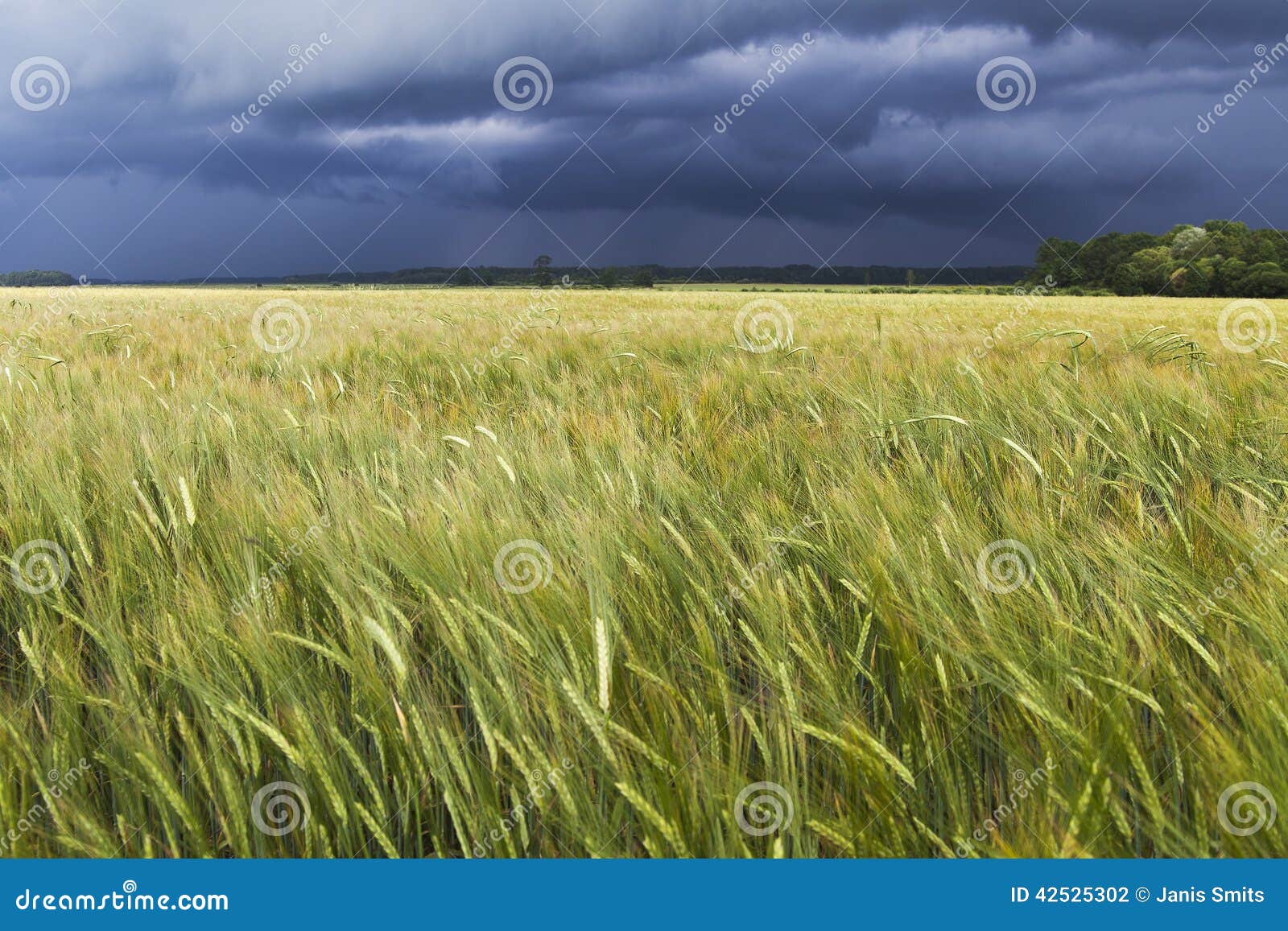Stormy day. stock photo. Image of spring, season, dramatic 42525302