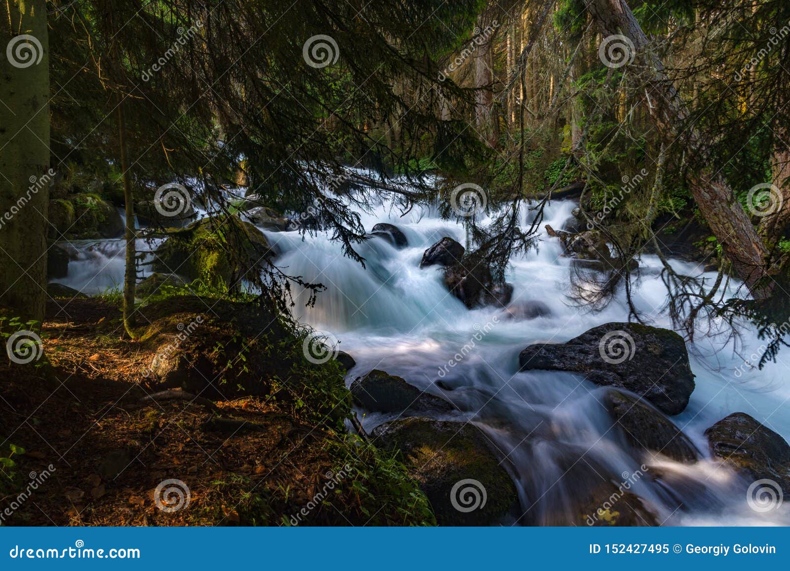 a stormy mountain river flows among huge stones in the forest slopes of the caucasus mountains
