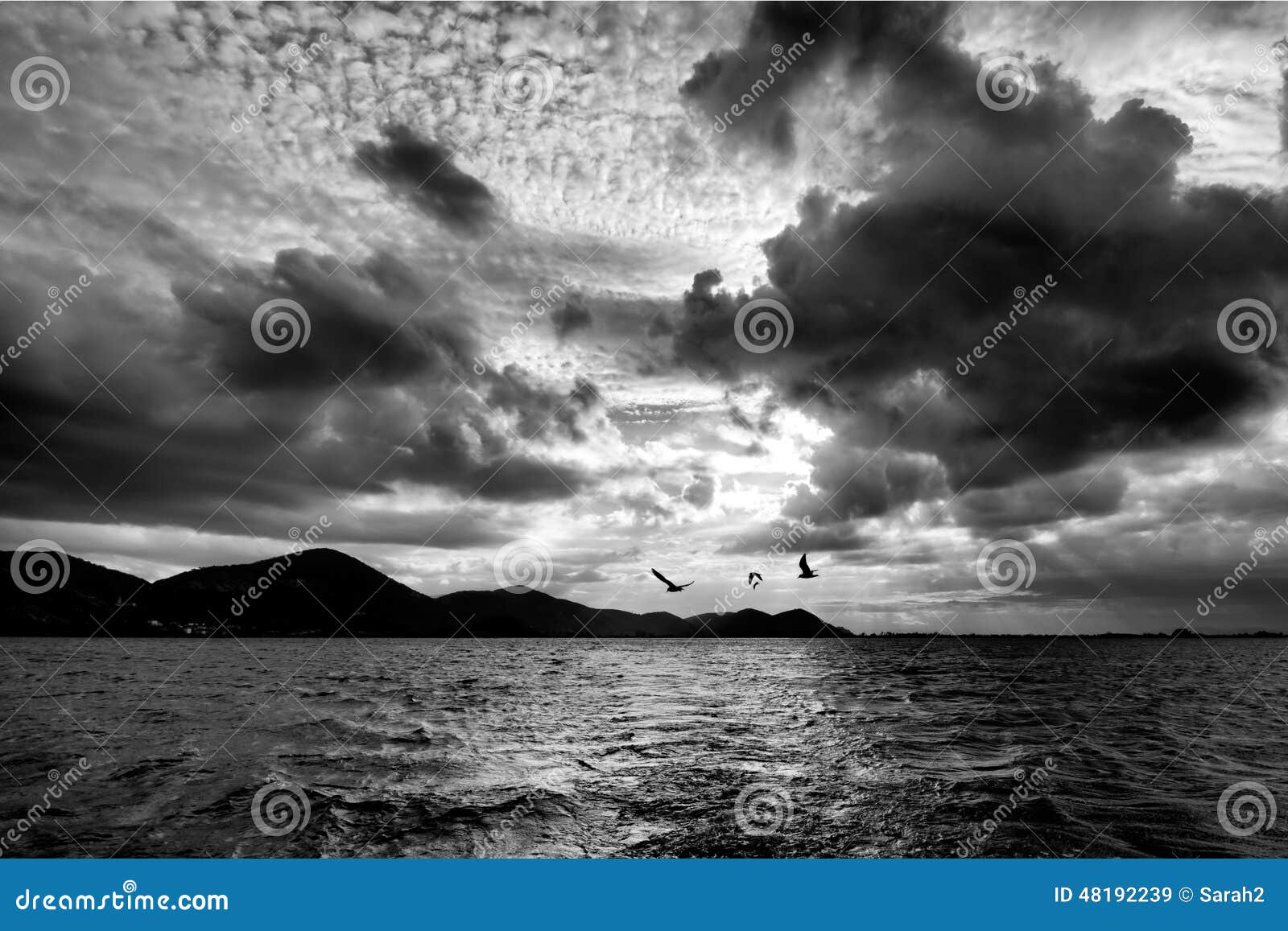 Stormy sea shore with seagulls - black and white monochrome. Dramatic sky.View from boat.