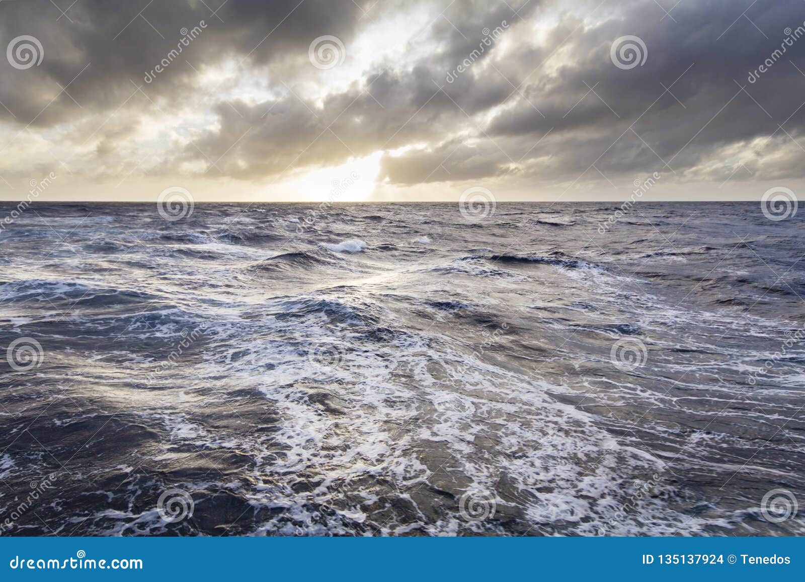 cruising at stormy seas