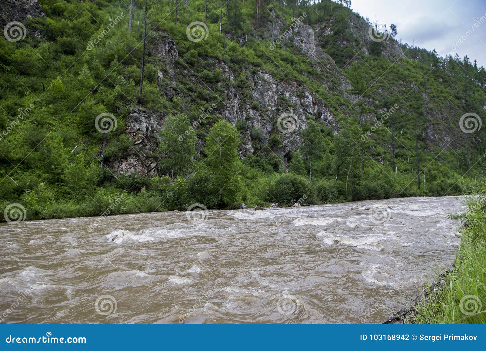 Mountain River In Siberia Stock Photo Image Of North 103168942