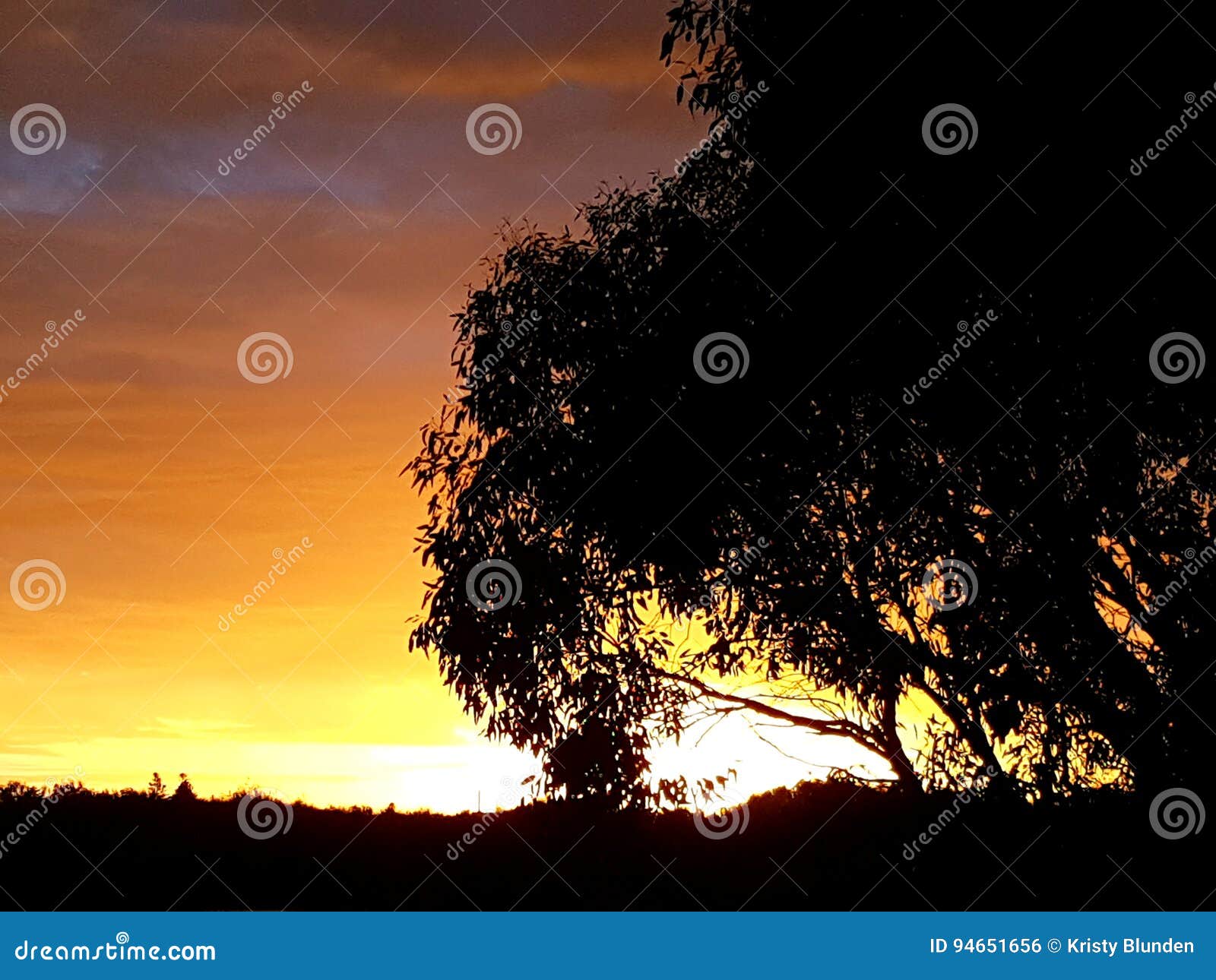 Stormy Sunset through the Silhouette of a Tree Stock Photo - Image of