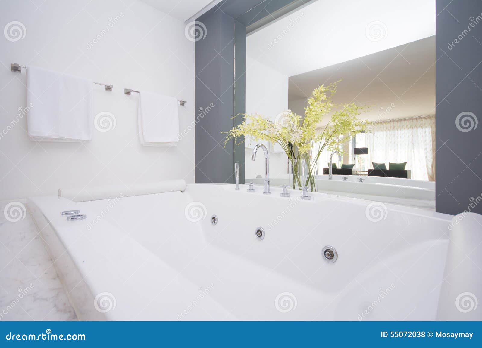 Stort lyxigt badkar i badrum arkivfoto bild: 55072038