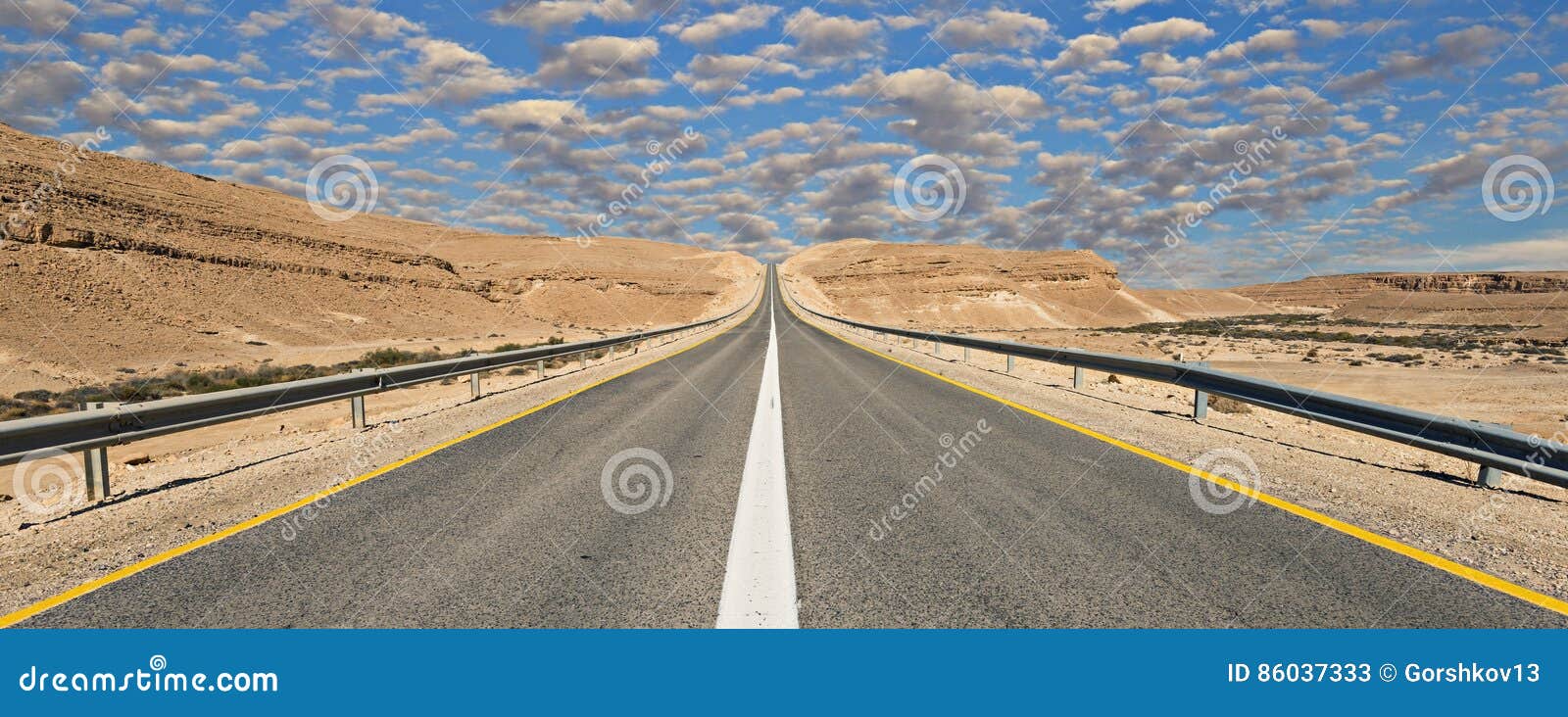 Strada in Deserto Del Negev, Israele