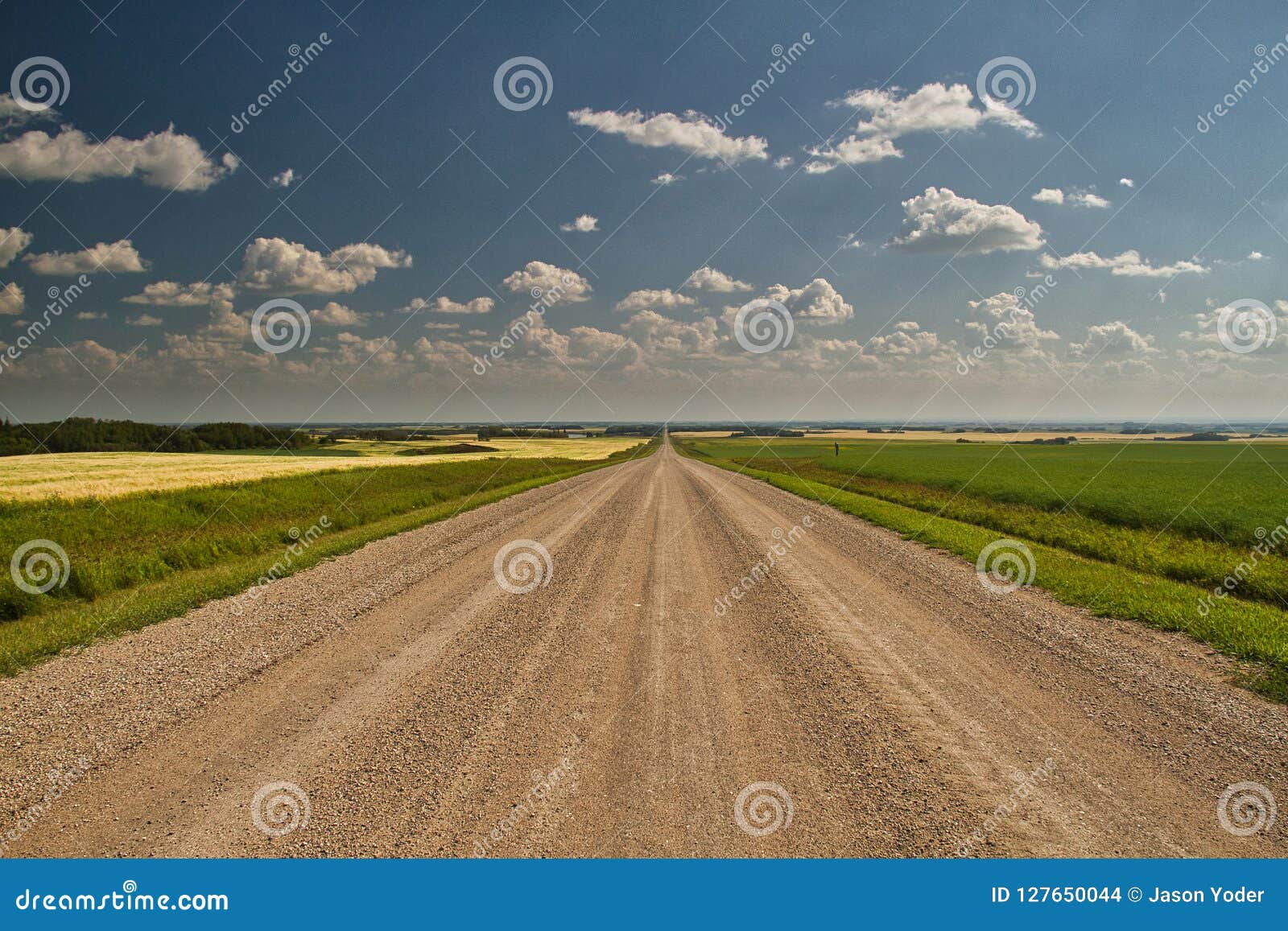 a straight dirt road into the plains
