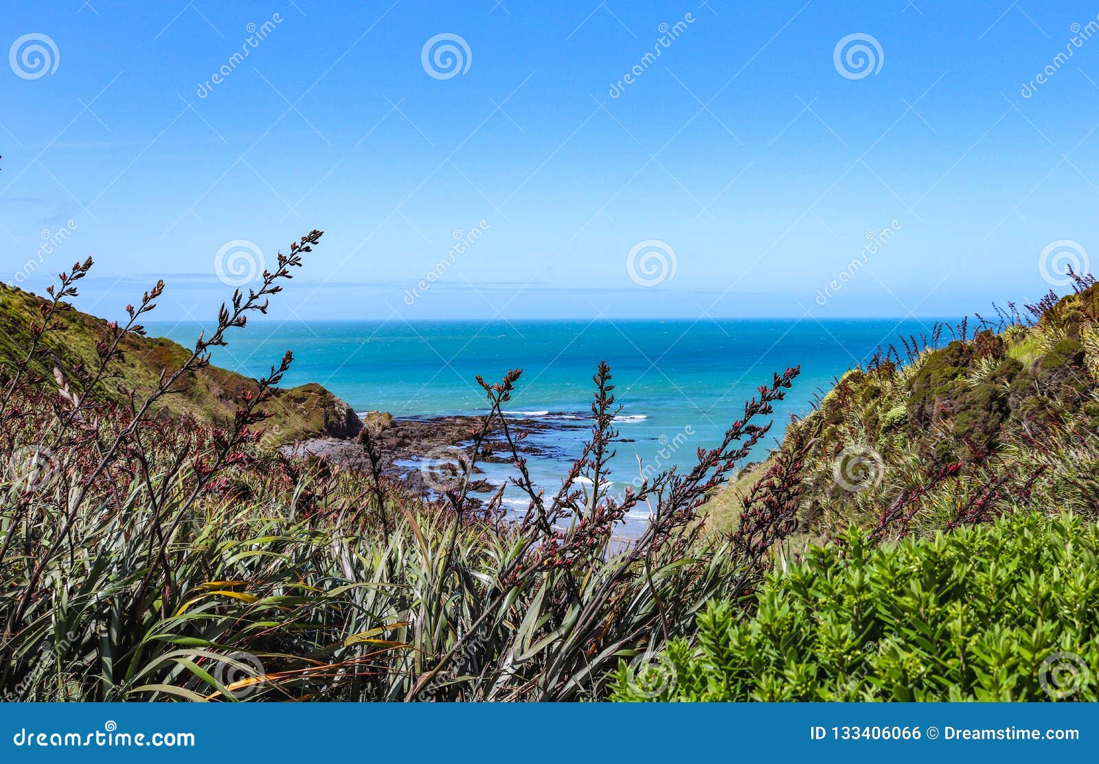 Strand In Neuseeland Praiana Nova Zelandia Stockfoto Bild Von Nova Strand