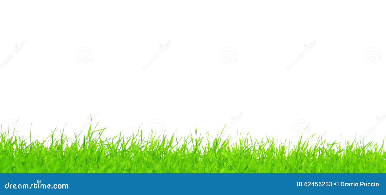 Strands of green grass stock image. Image of meadow, clean 62456233