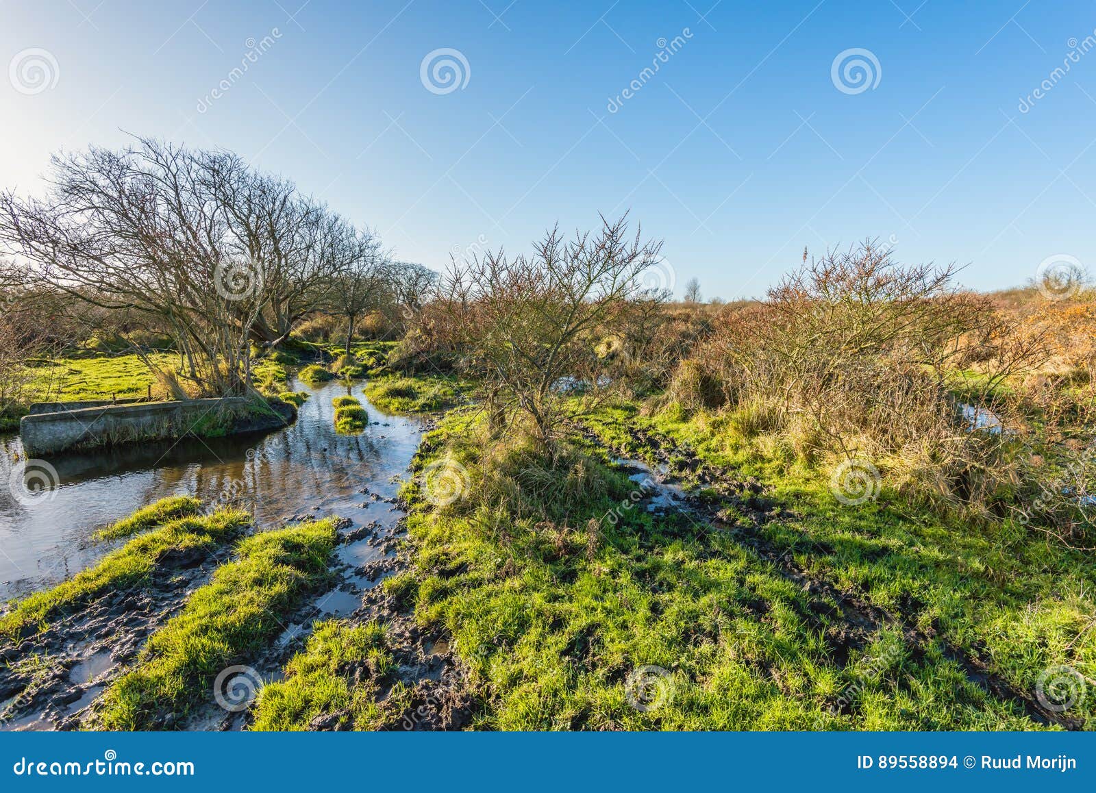 Strange Concrete Components in a Swampy Nature Reserve Stock Photo