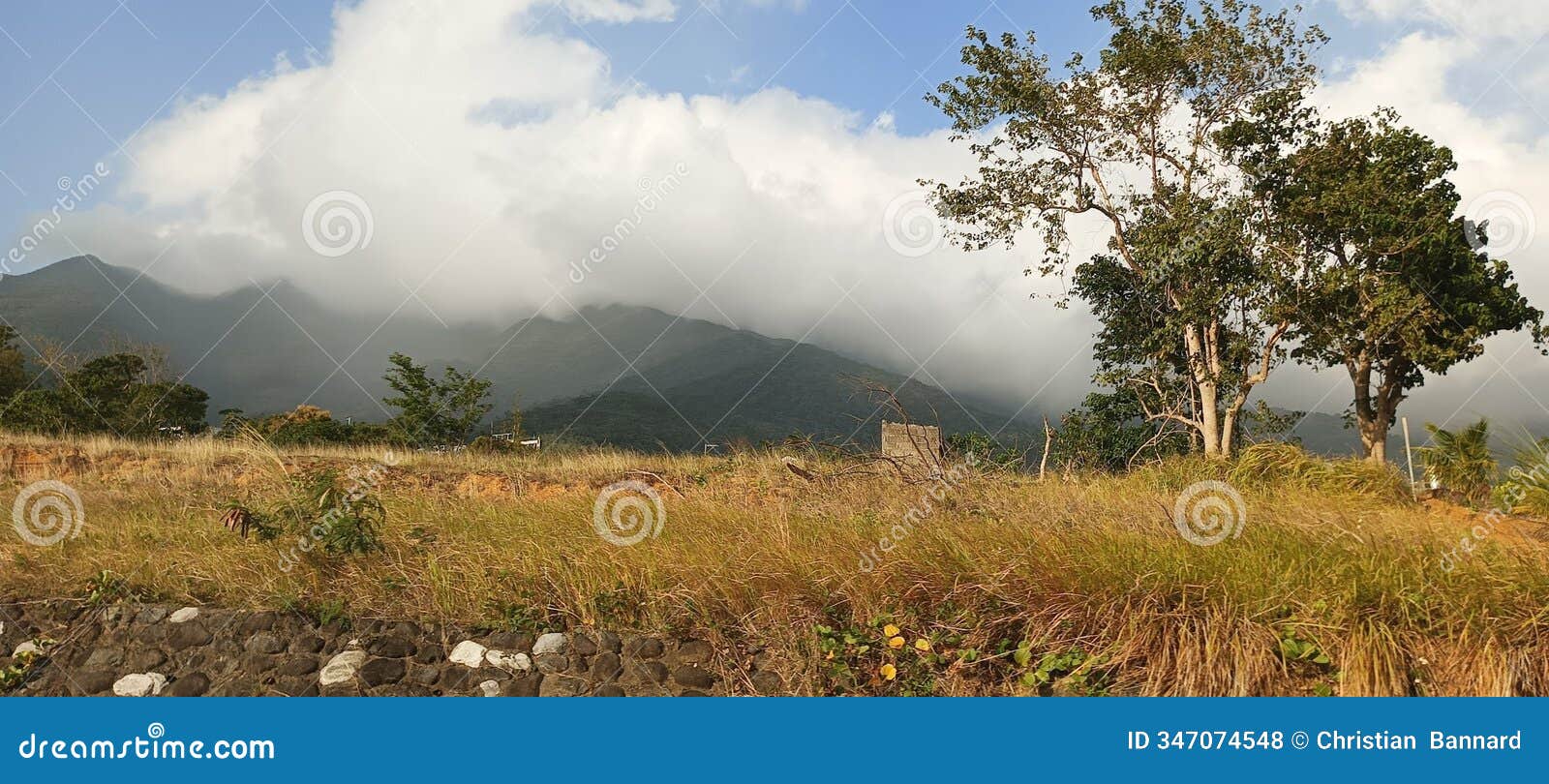 the grasslands and steep terrain of the eastern mountains of central luzon in the philippines