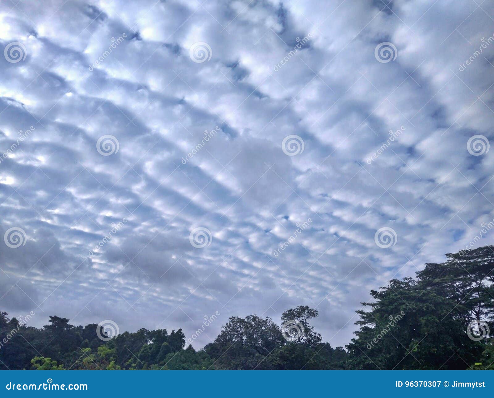 stratocumulus clouds