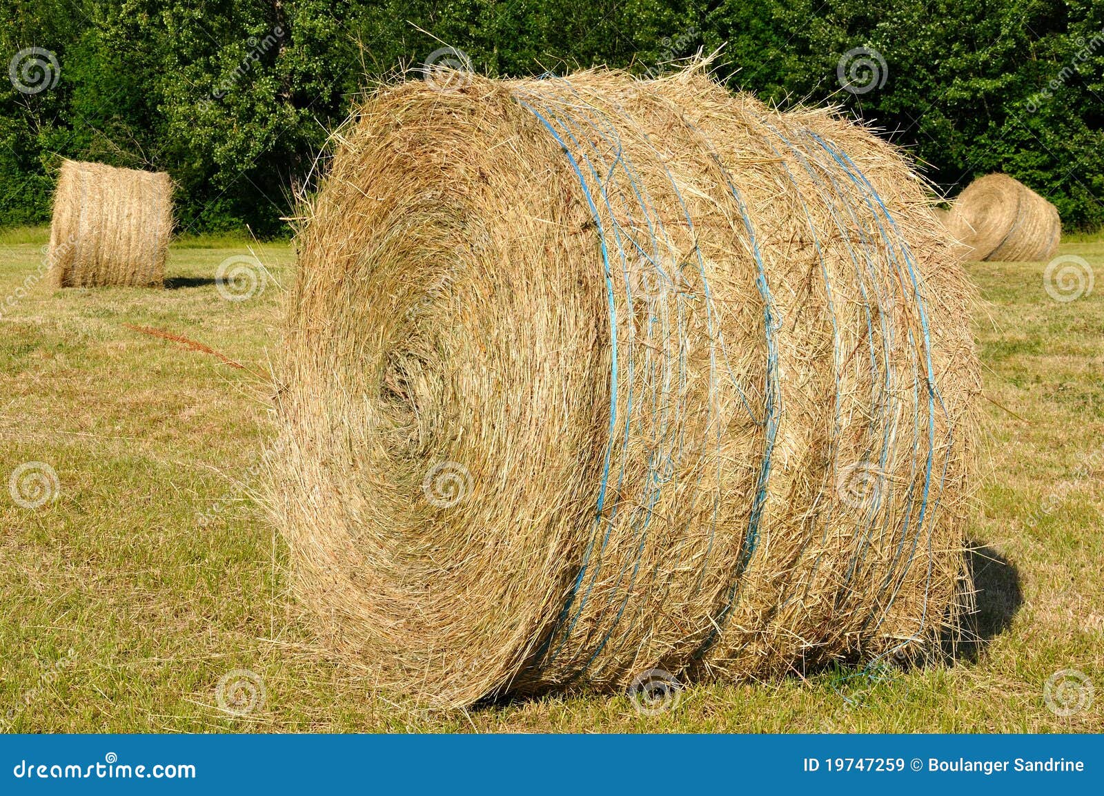 Straw bale stock image. Image of circle, haystacks, cattle 19747259