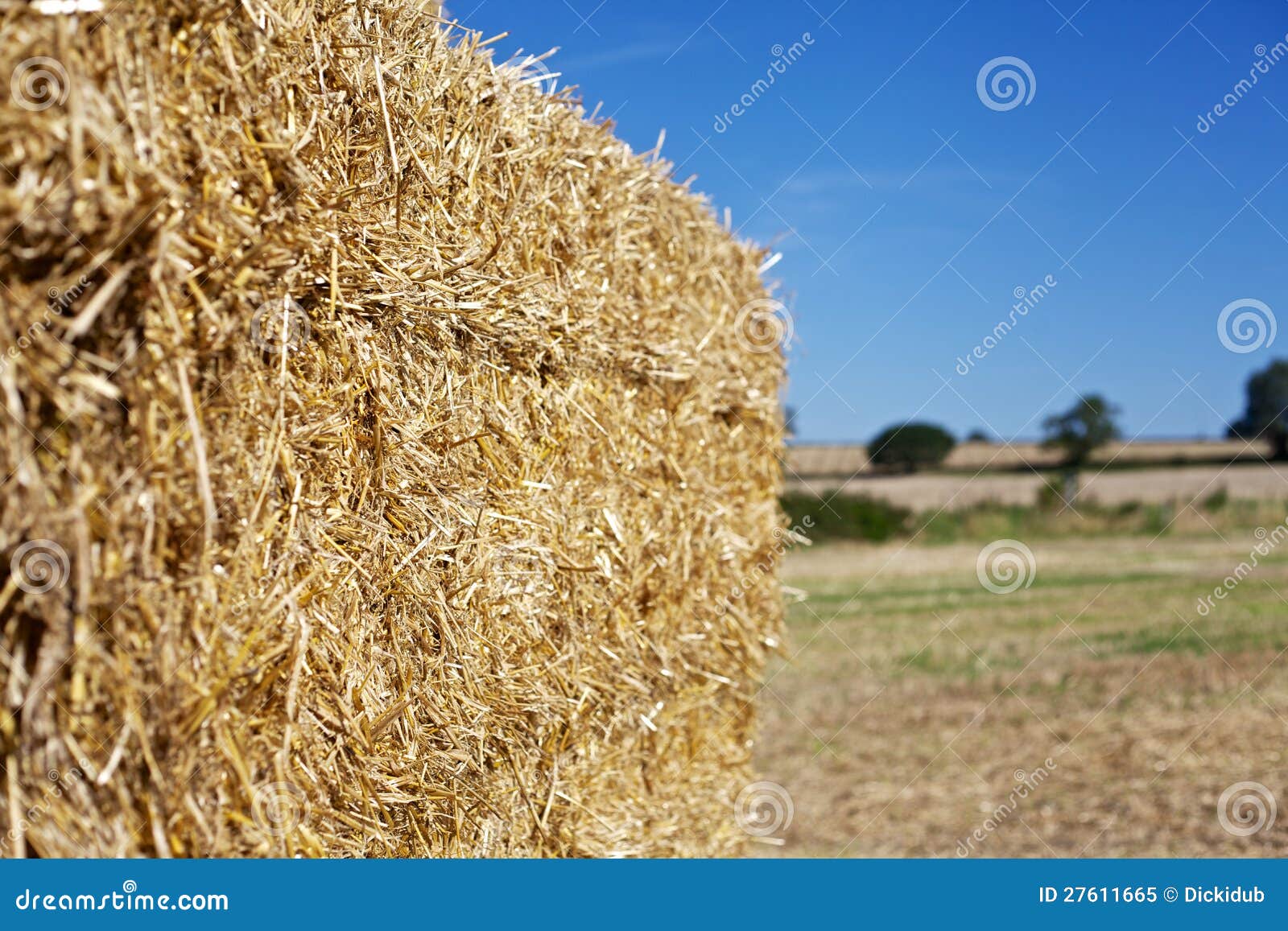 Straw Bale stock image. Image of space, foreground, copy 27611665