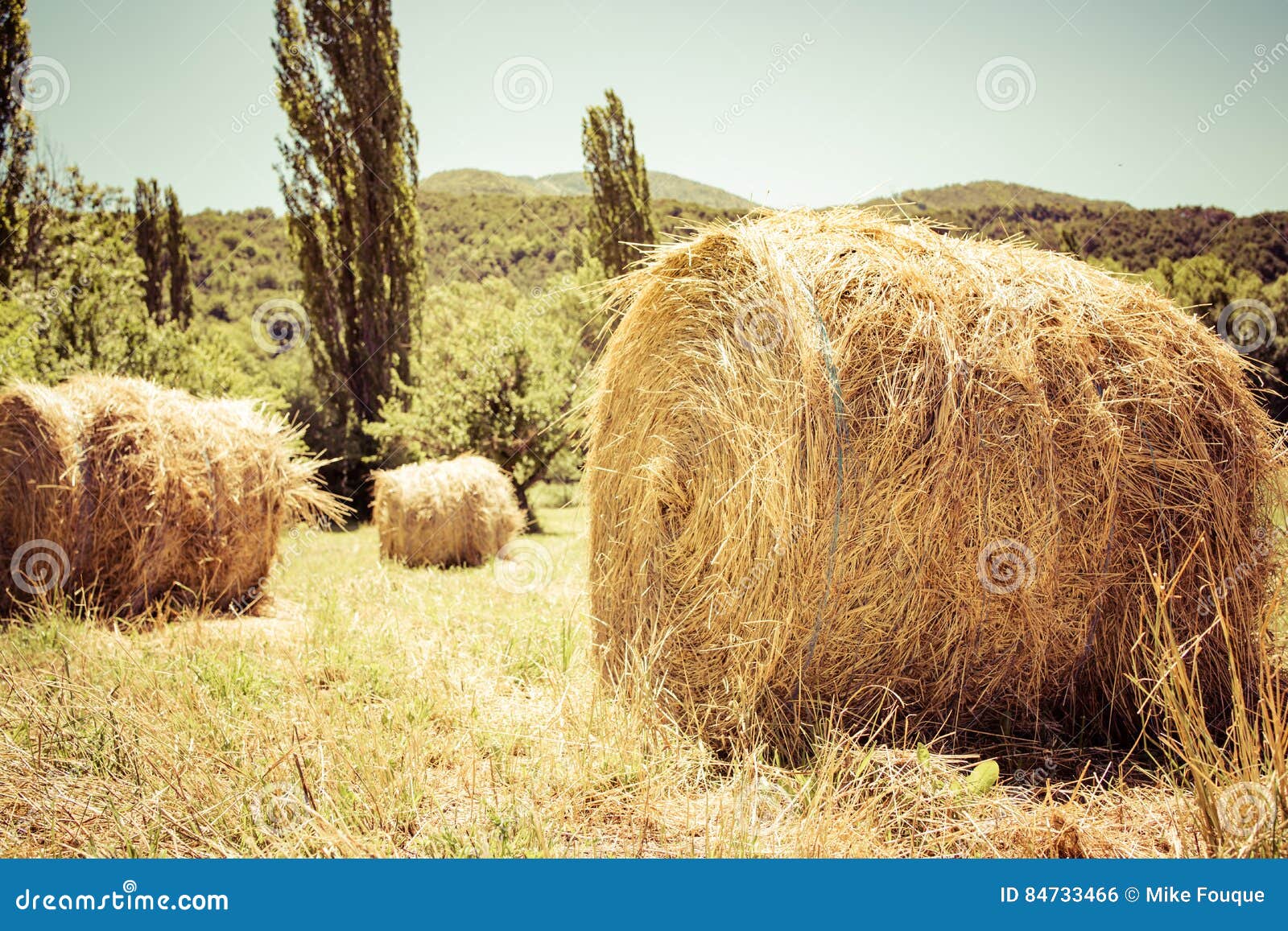 Straw bale stock photo. Image of bale, french, straw 84733466